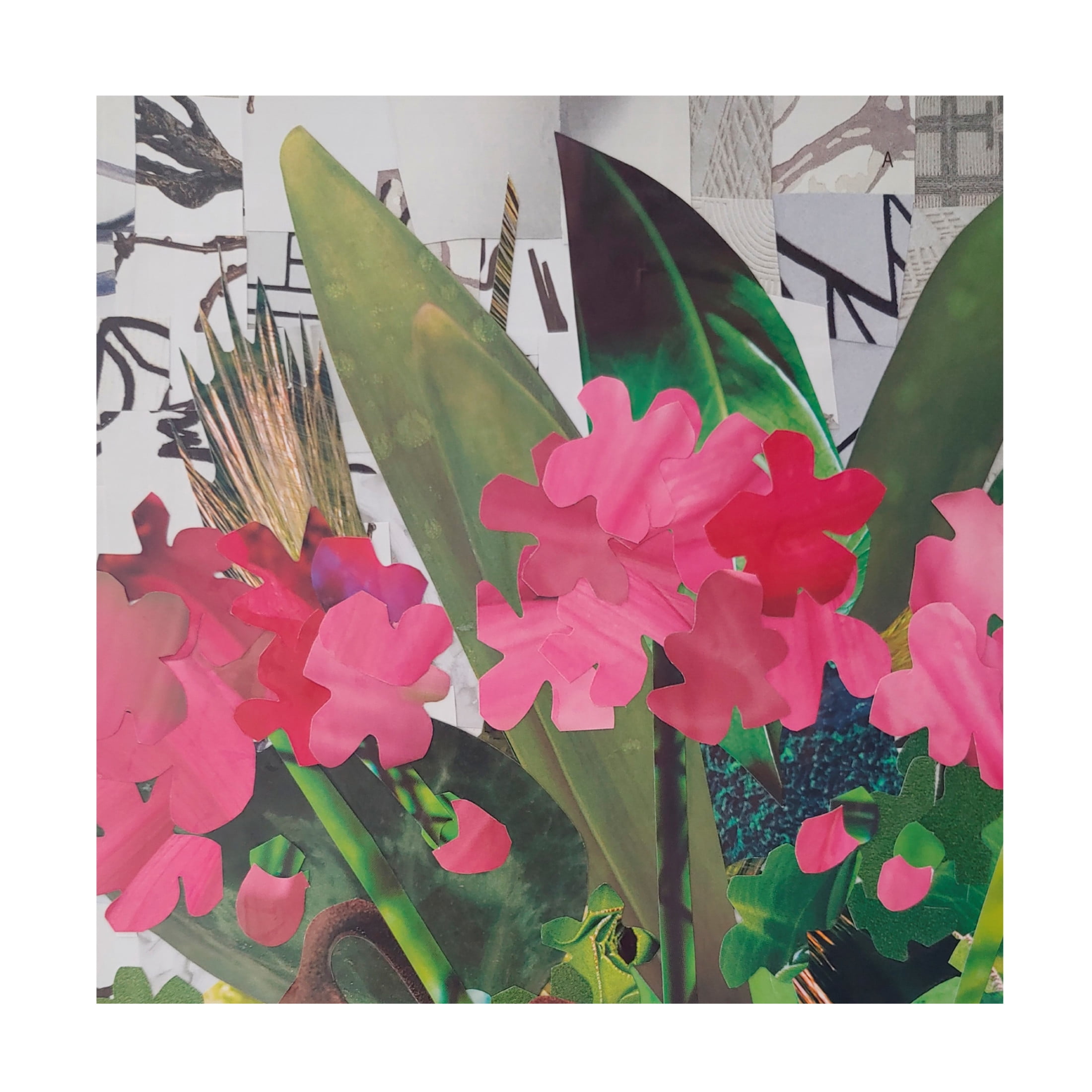 Canvas Wall Art - Coco Good 'Poolside Geraniums I' Wall Art for Living Room, Bedroom, or Office Décor by Trademark Fine Art - 24 x 24 Inches
