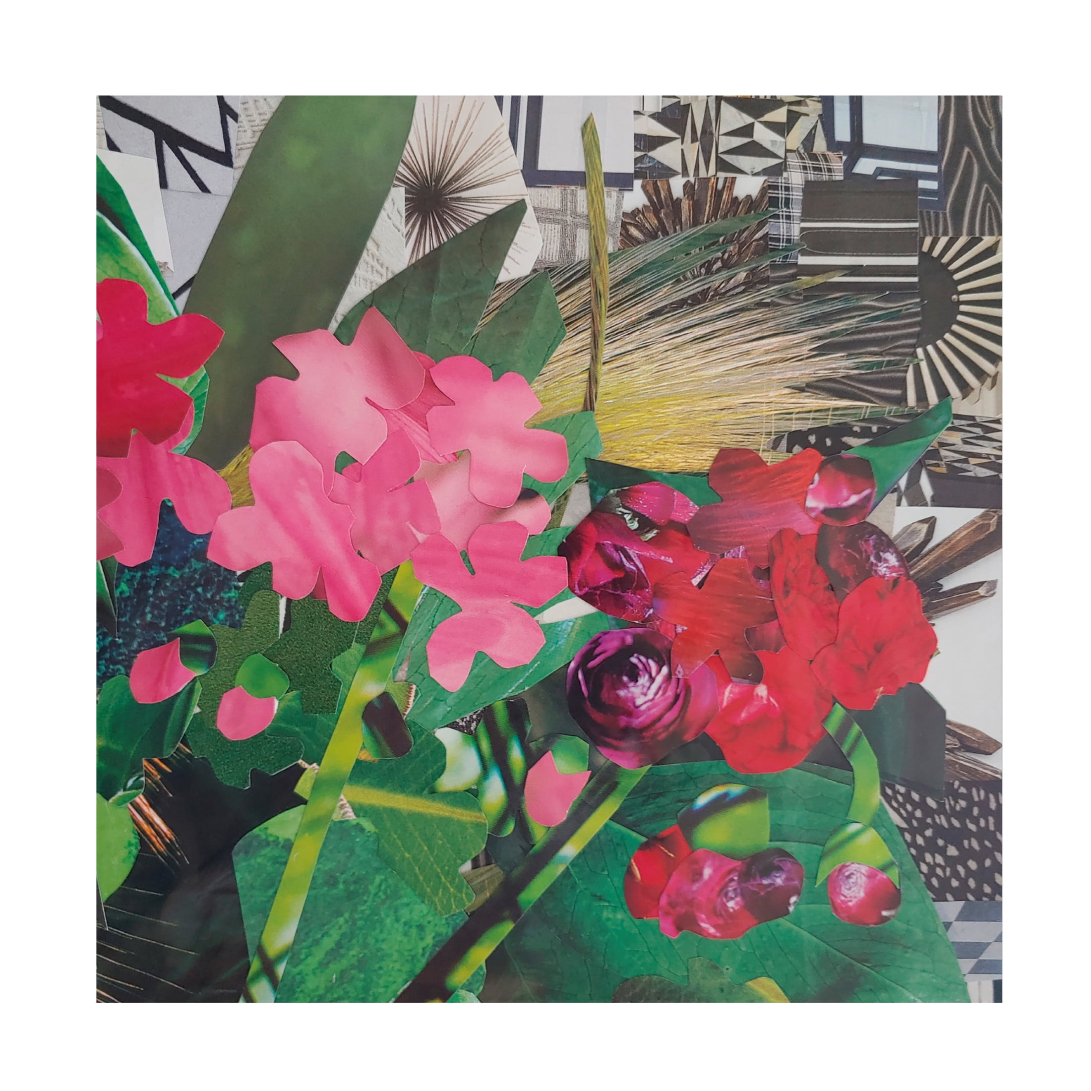 Canvas Wall Art - Coco Good 'Poolside Geraniums II' Wall Art for Living Room, Bedroom, or Office Décor by Trademark Fine Art - 14 x 14 Inches