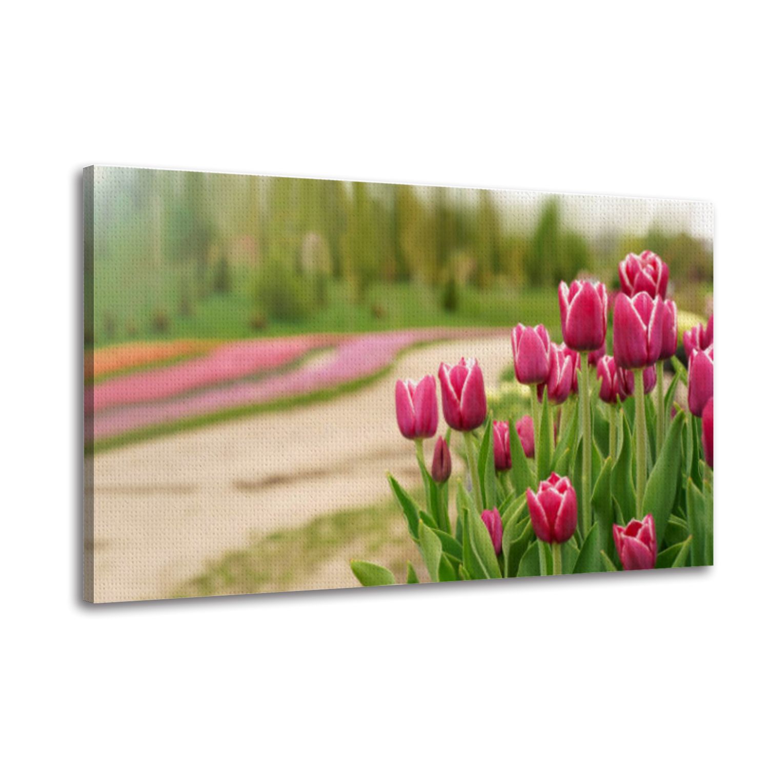 Abstract Tulips Flower Canvas Wall Art - Line Drawing Painting For Bathroom, Office, Bedroom, Corridor Decor - View #9