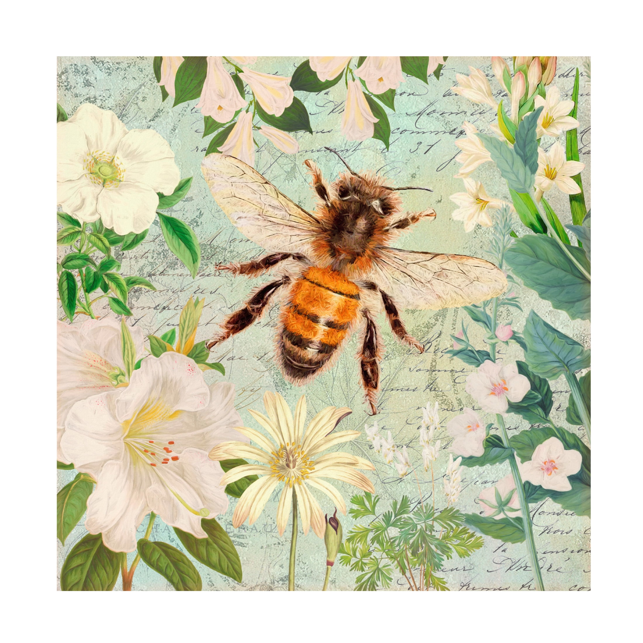Canvas Wall Art - Cora Niele 'Bee White Flowers' Wall Art for Living Room, Bedroom, or Office Décor by Trademark Fine Art - 14 x 14 Inches