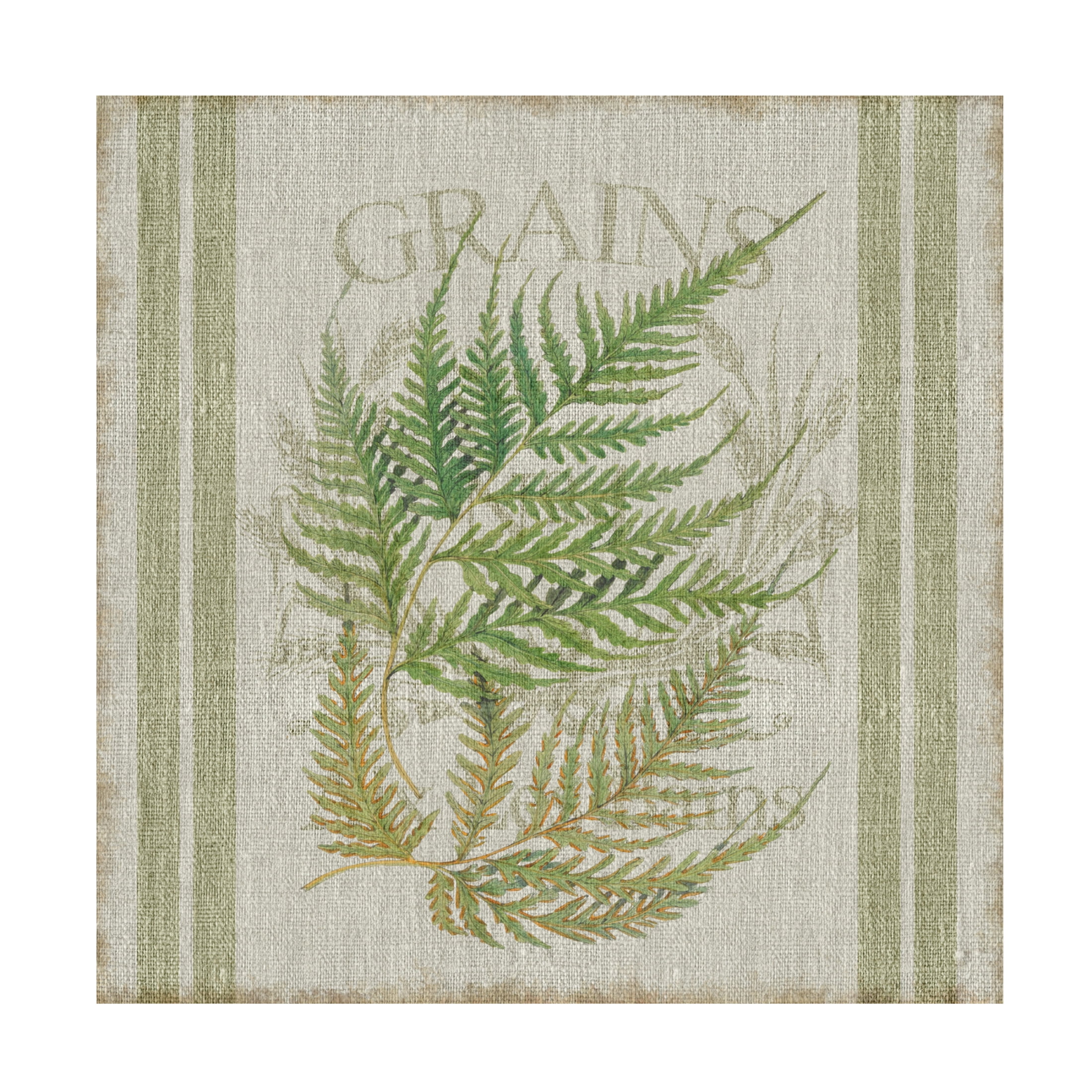 Canvas Wall Art - Cora Niele 'Fern On Flour Sack 01' Wall Art for Living Room, Bedroom, or Office Décor by Trademark Fine Art - 24 x 24 Inches