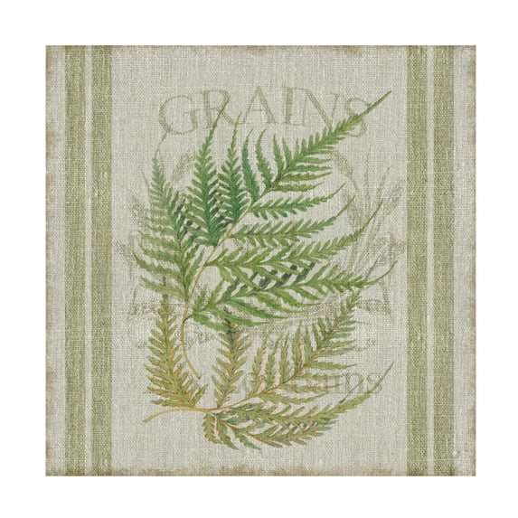 Canvas Wall Art - Cora Niele 'Fern On Flour Sack 01' Wall Art for Living Room, Bedroom, or Office Décor by Trademark Fine Art - 35 x 35 Inches