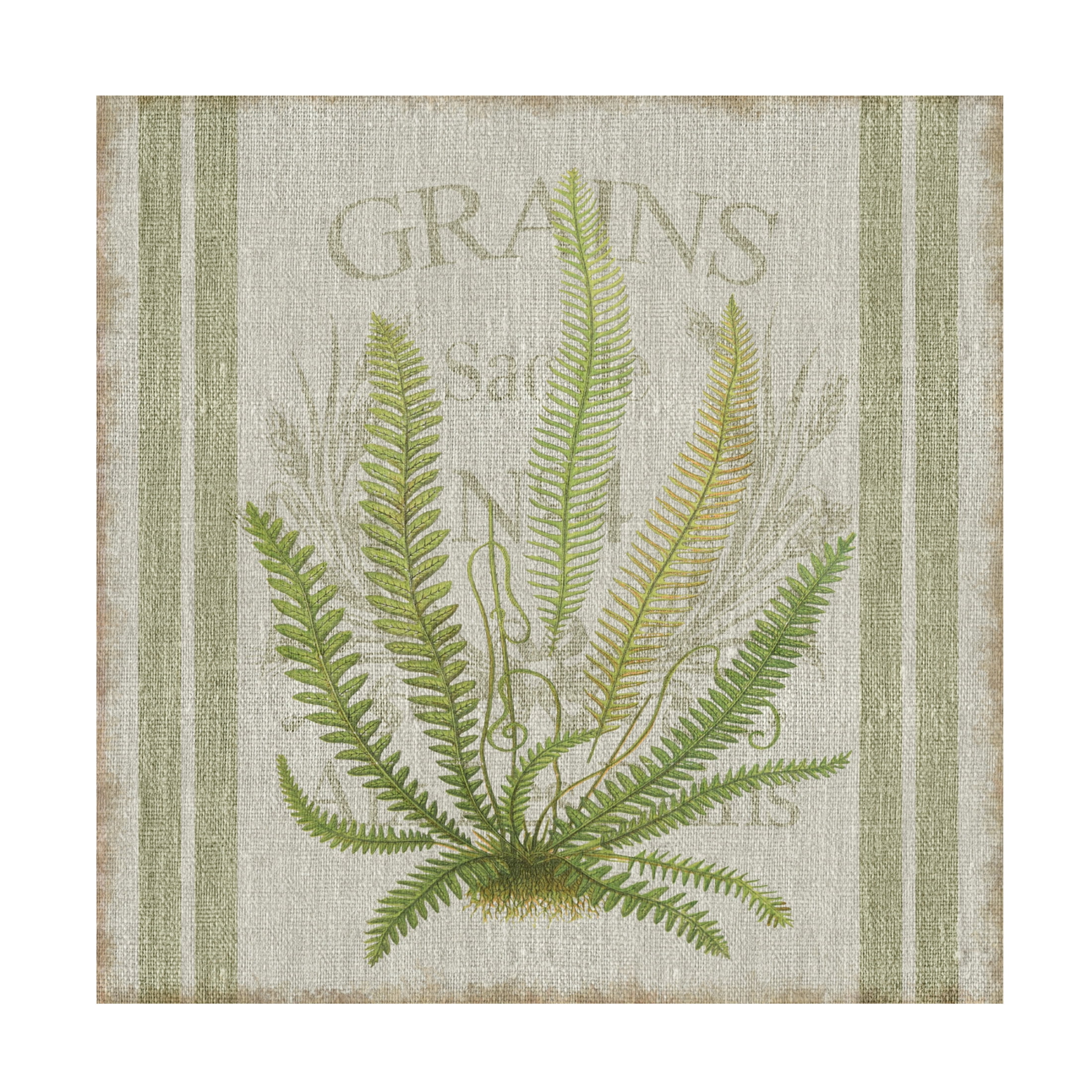 Canvas Wall Art - Cora Niele 'Fern On Flour Sack 02' Wall Art for Living Room, Bedroom, or Office Décor by Trademark Fine Art - 18 x 18 Inches