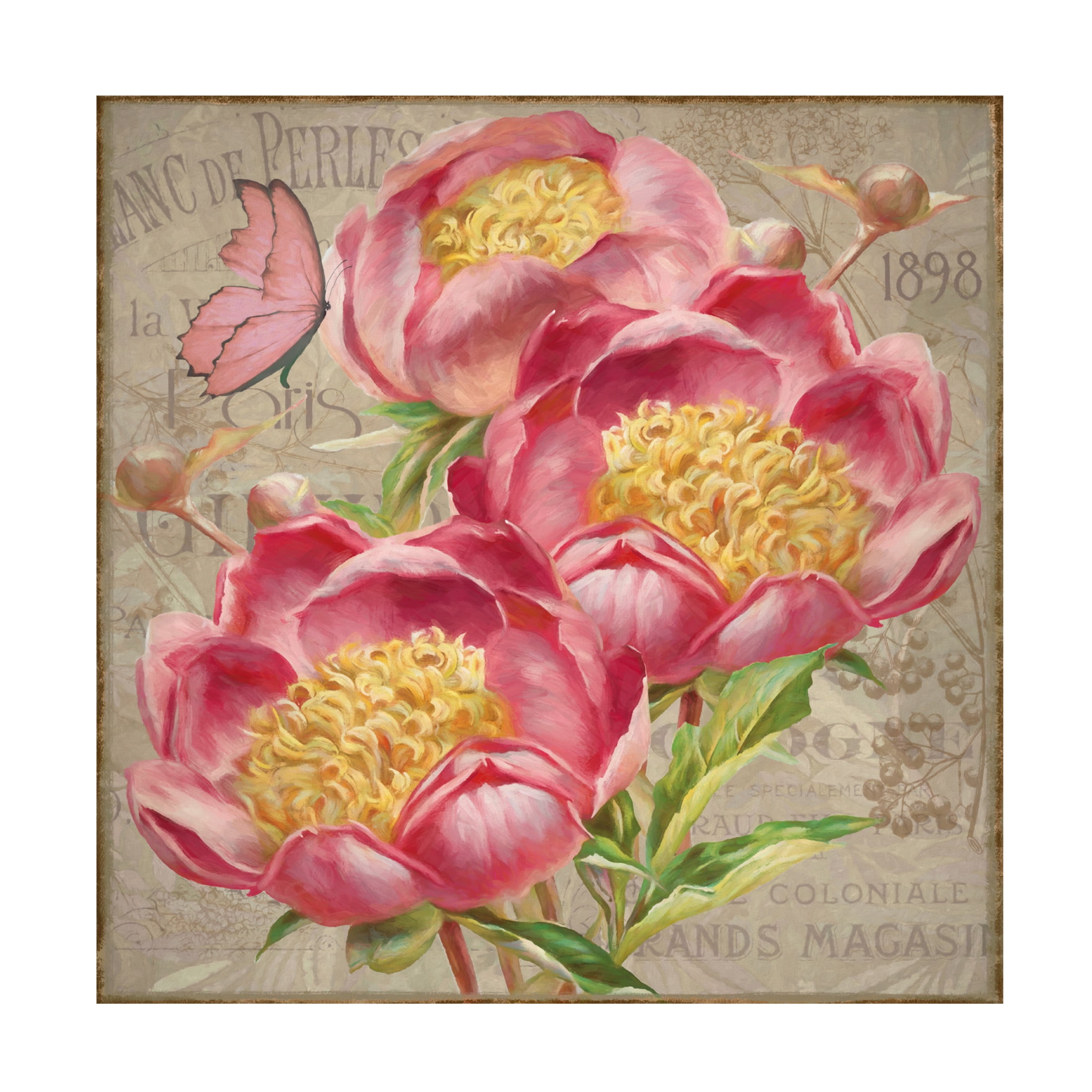 Canvas Wall Art - Cora Niele 'Pink Peonies And Butterfly' Wall Art for Living Room, Bedroom, or Office Décor by Trademark Fine Art - 18 x 18 Inches
