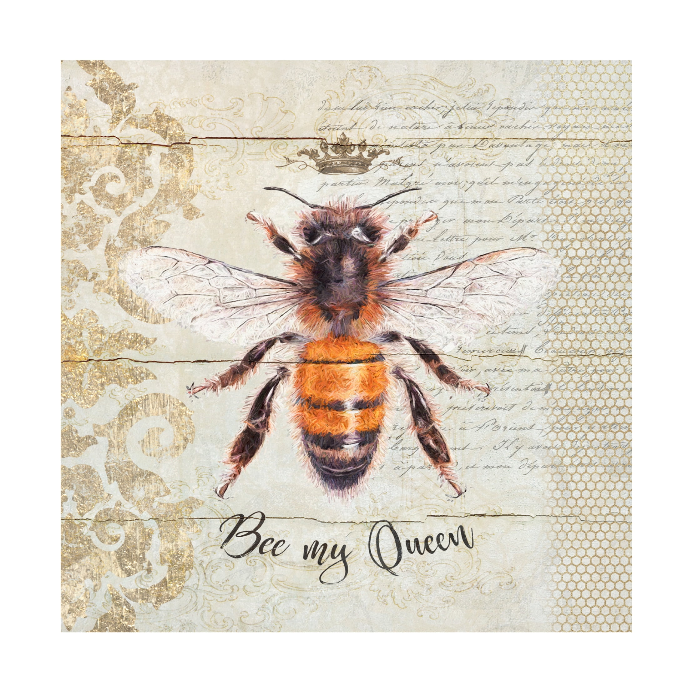 Canvas Wall Art - Cora Niele 'Queen Bee' Wall Art for Living Room, Bedroom, or Office Décor by Trademark Fine Art - 18 x 18 Inches
