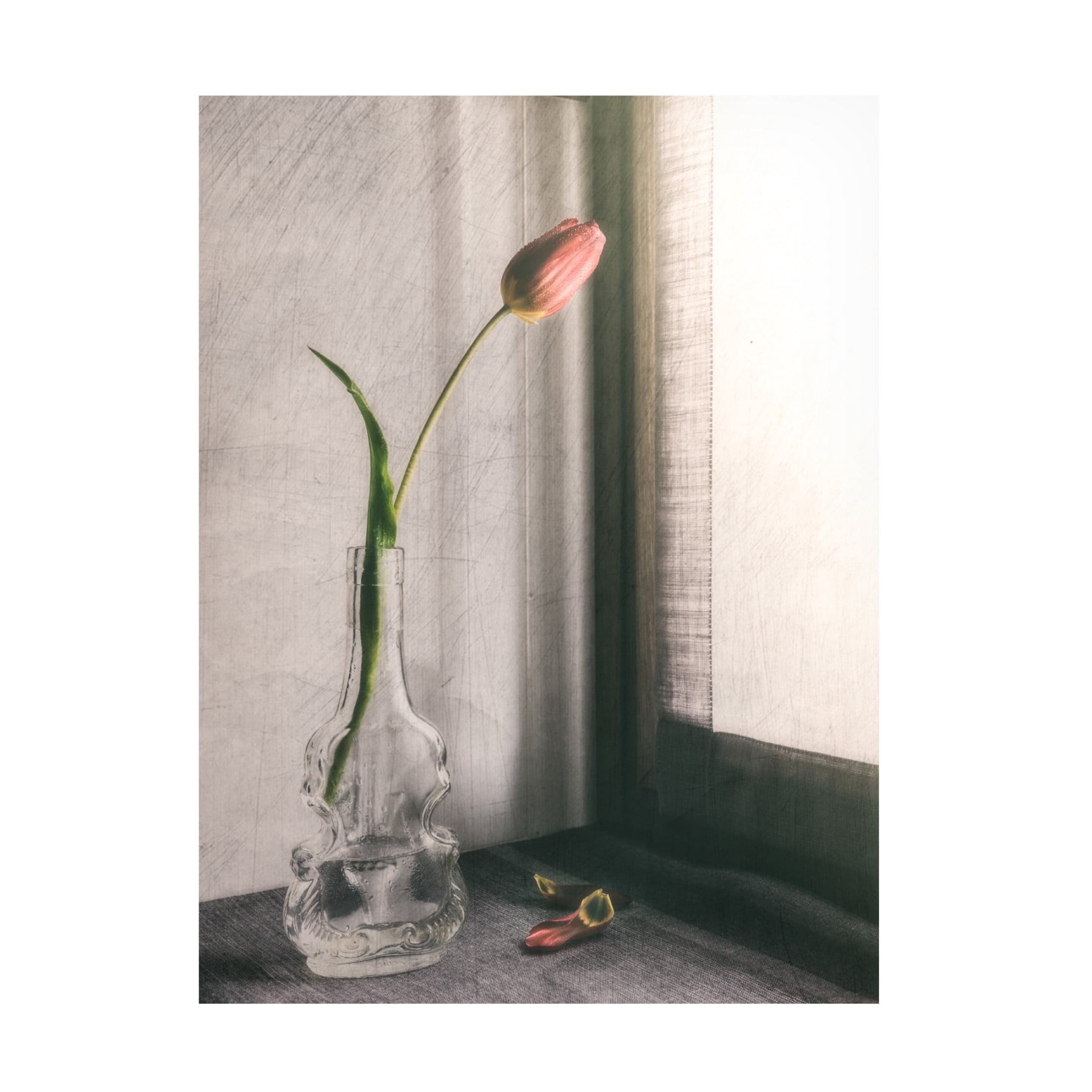 Canvas Wall Art - Cristiano Giani 'Melanchonic Mood' Wall Art for Living Room, Bedroom, or Office Décor by Trademark Fine Art - 18 x 24 Inches