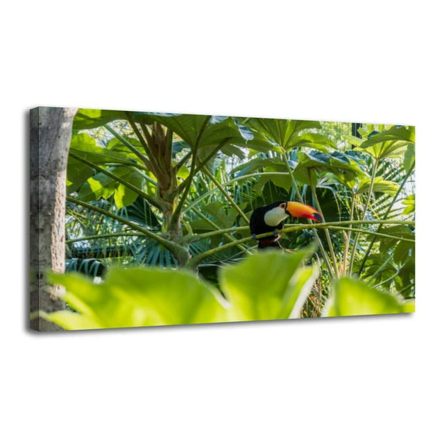 Canvas Wall Art Cute Toco Toucan Forest Wall Decor for Living Room