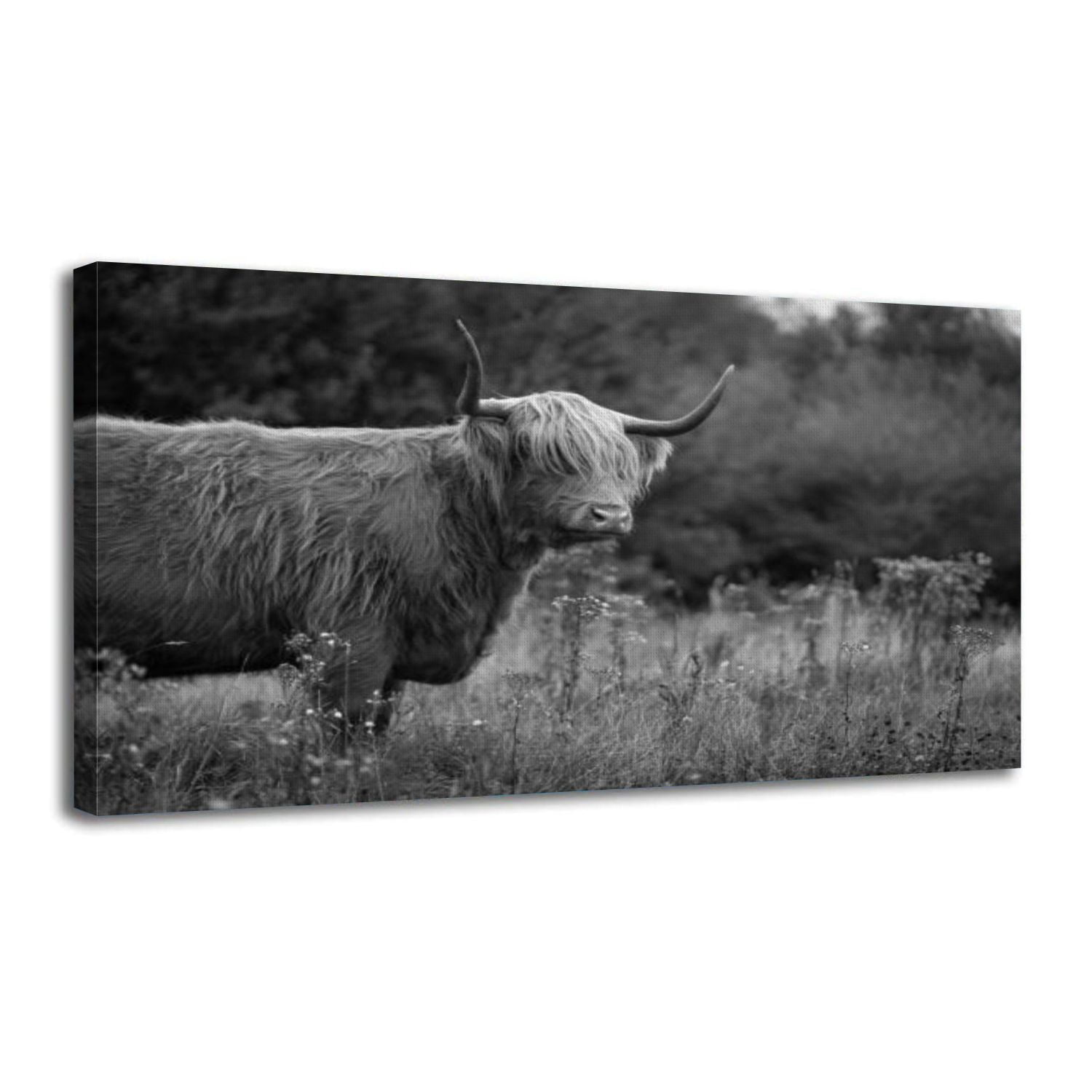 Canvas Wall Art Cute shaggy brown highland cow big horns standing ...