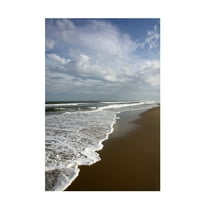 Canvas Wall Art - DANE 'Beaches 14' Wall Art for Living Room, Bedroom, or Office Décor by Trademark Fine Art - 12 x 19 Inches