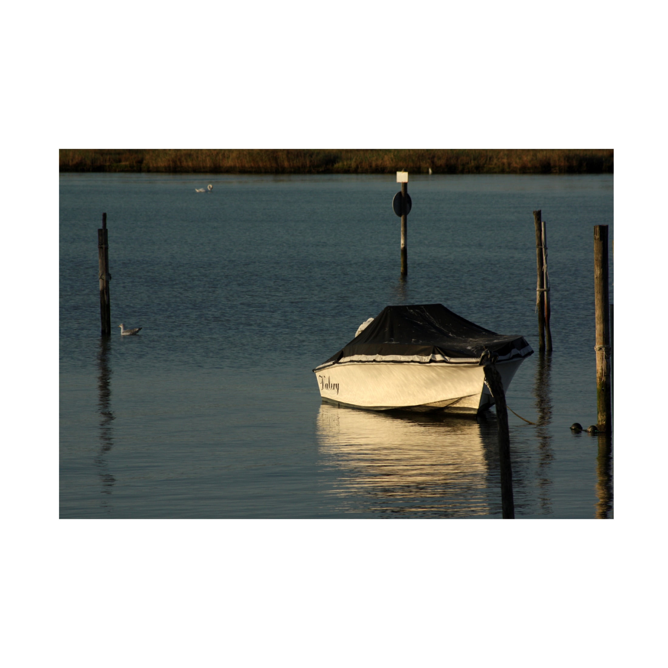 Canvas Wall Art - DANE 'Beaches 15' Wall Art for Living Room, Bedroom, or Office Décor by Trademark Fine Art - 47 x 30 Inches