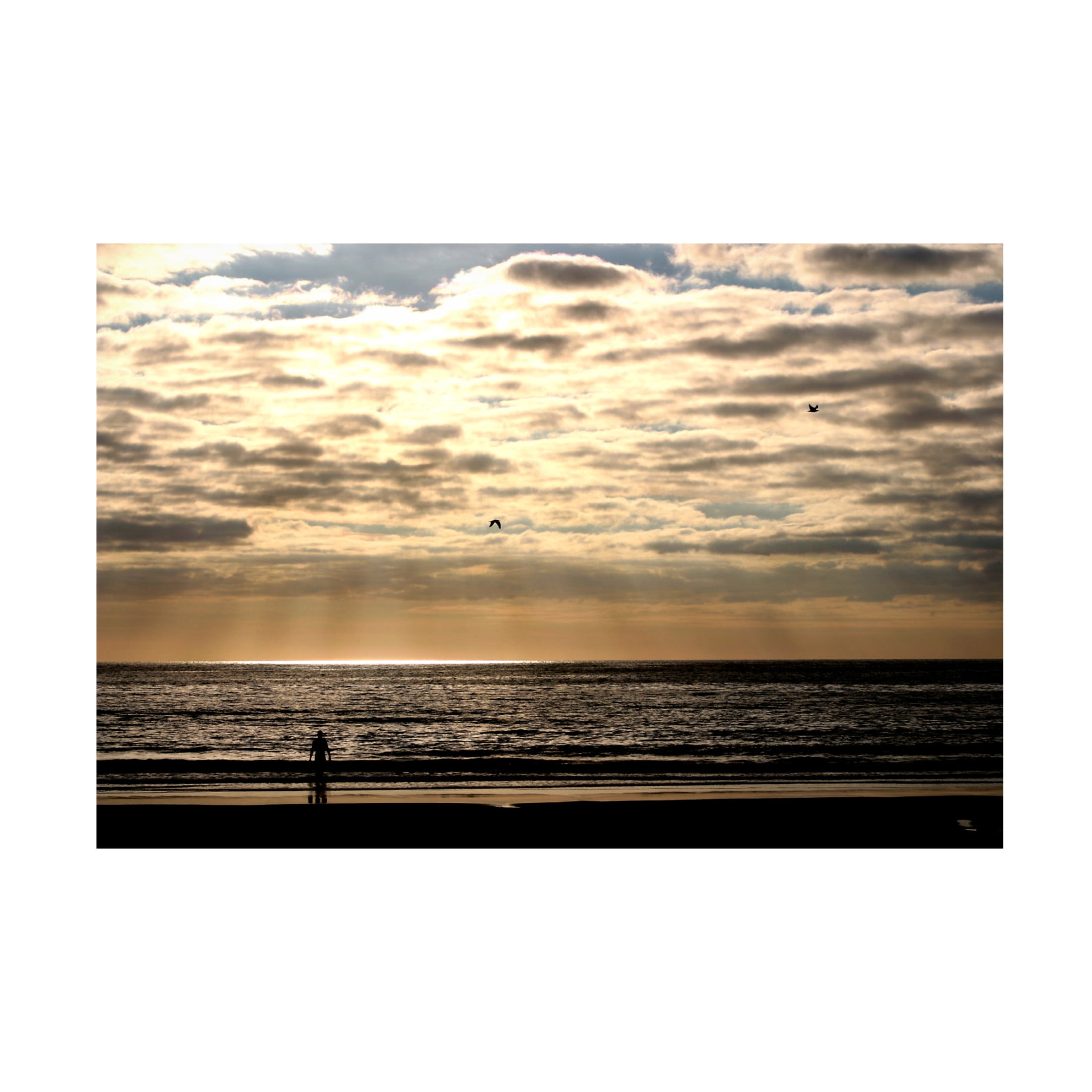 Canvas Wall Art - DANE 'Beaches 3' Wall Art for Living Room, Bedroom, or Office Décor by Trademark Fine Art - 47 x 30 Inches