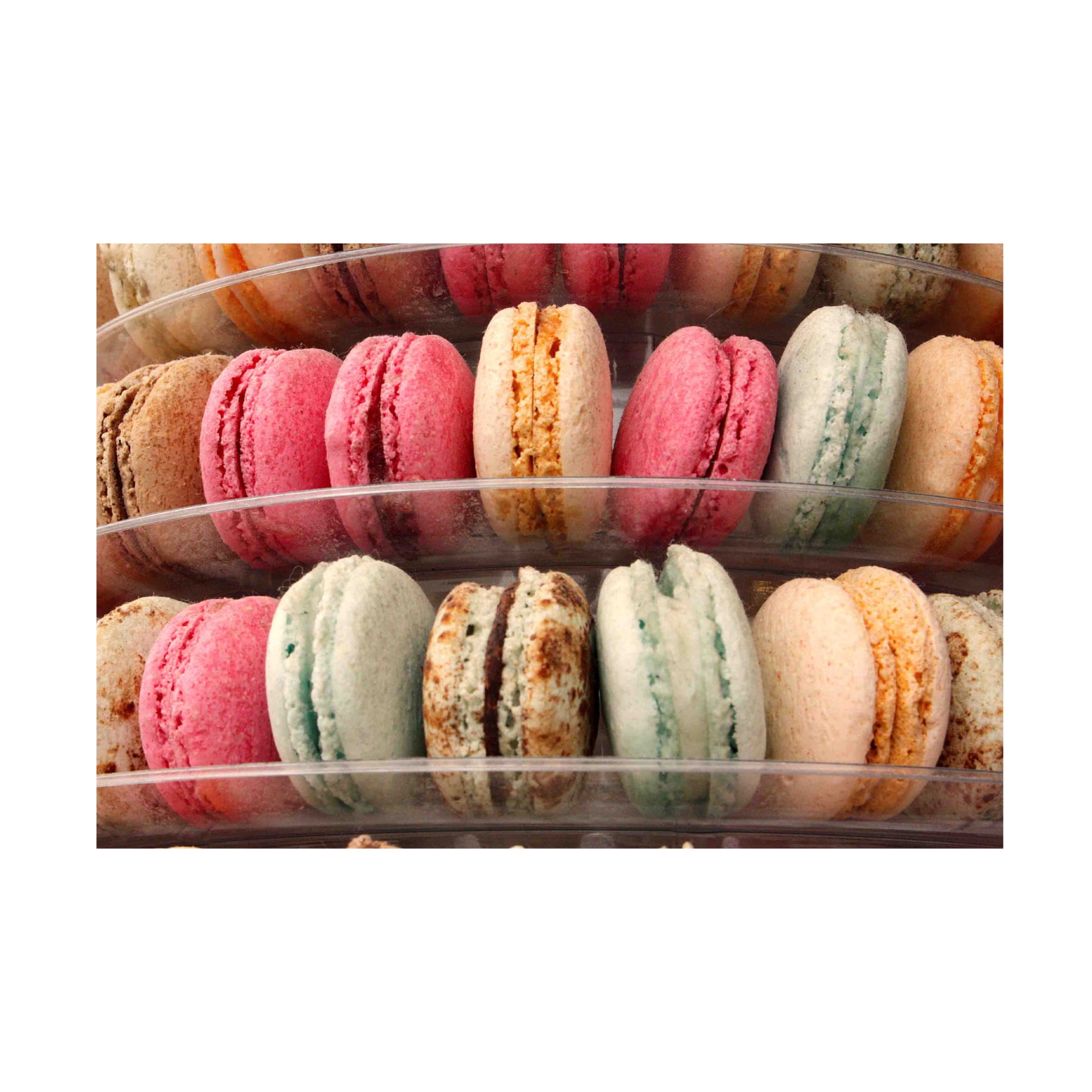 Canvas Wall Art - DANE 'Food 44' Wall Art for Living Room, Bedroom, or Office Décor by Trademark Fine Art - 19 x 12 Inches