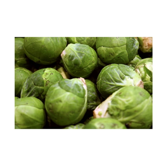 Canvas Wall Art - DANE 'Food 83' Wall Art for Living Room, Bedroom, or Office Décor by Trademark Fine Art - 19 x 12 Inches