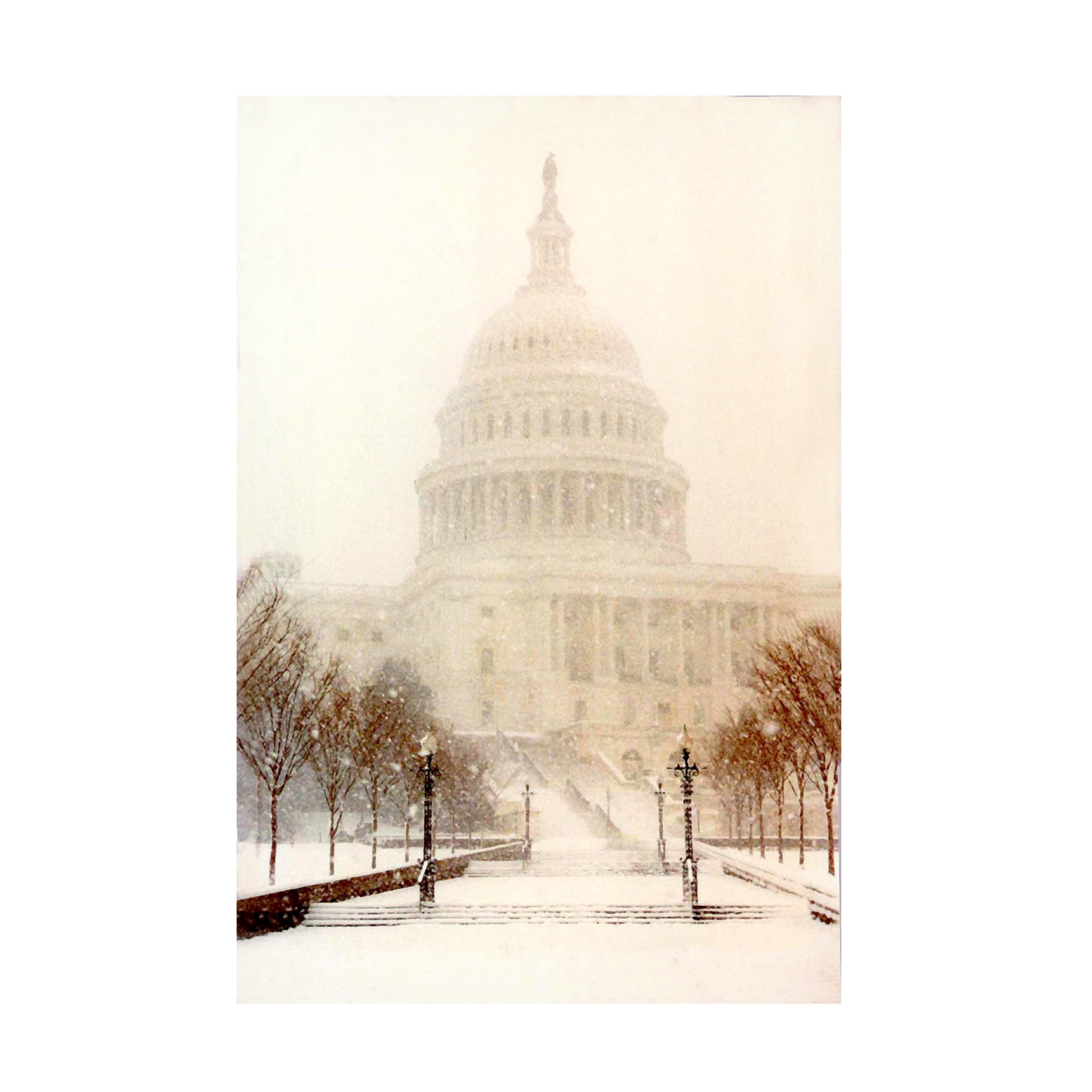 Canvas Wall Art - DANE 'Washington DC 16' Wall Art for Living Room, Bedroom, or Office Décor by Trademark Fine Art - 16 x 24 Inches