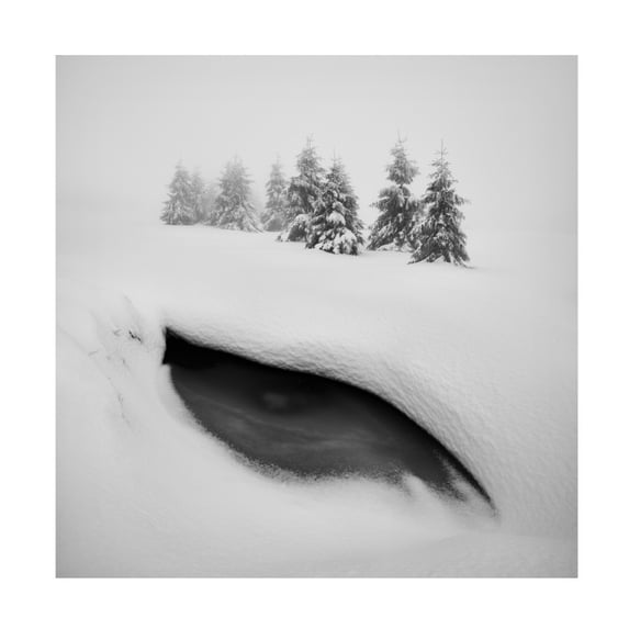 Canvas Wall Art - Daniel Rericha 'Dragon Eye' Wall Art for Living Room, Bedroom, or Office D?cor by Trademark Fine Art - 18 x 18 Inches