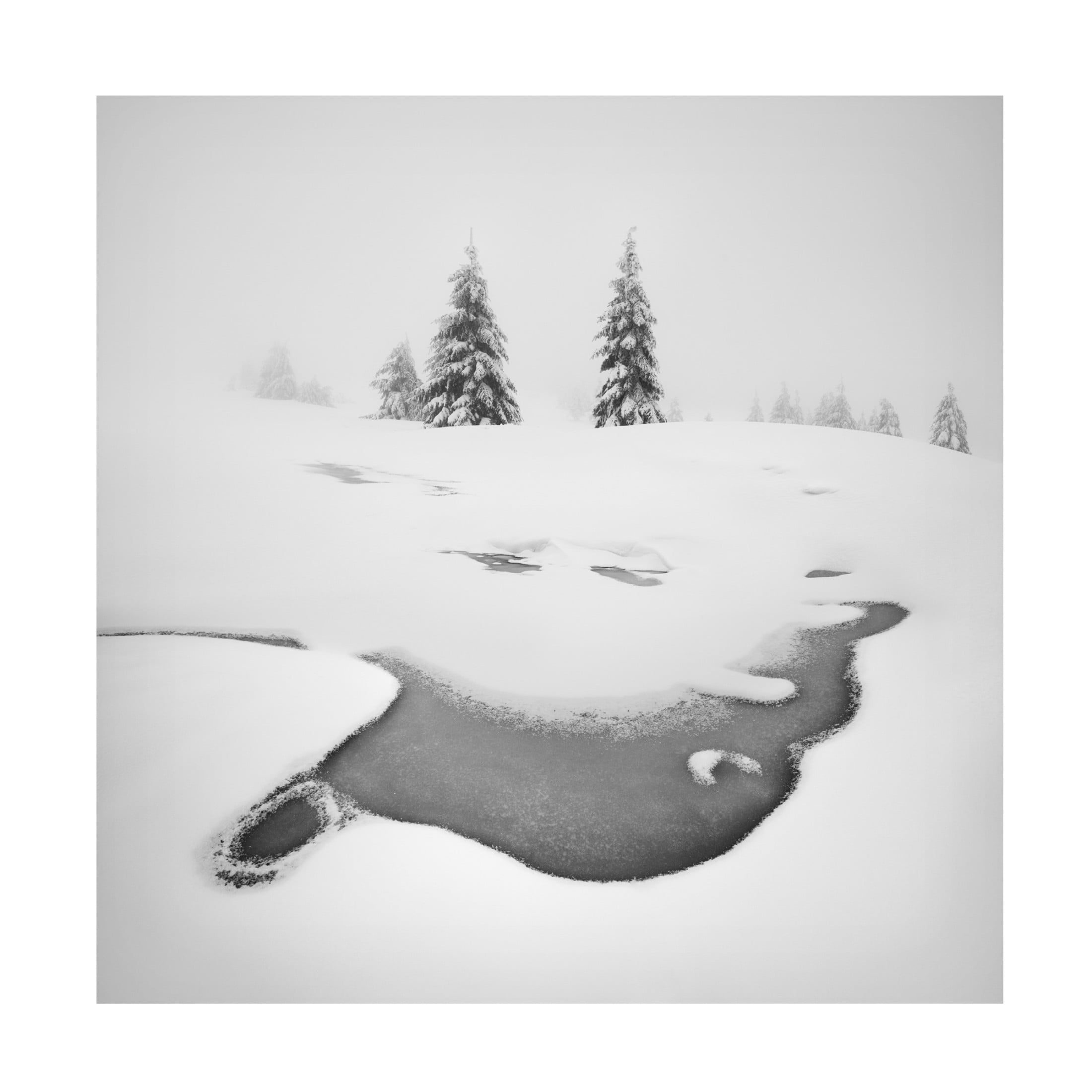 Canvas Wall Art - Daniel Rericha 'Frozen Swamps' Wall Art for Living Room, Bedroom, or Office D?cor by Trademark Fine Art - 24 x 24 Inches