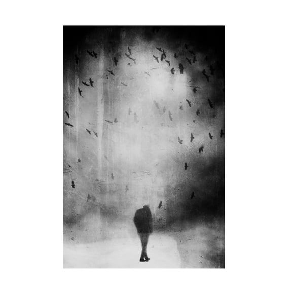 Canvas Wall Art - Daniela Riegler 'Photo Grain' Wall Art for Living Room, Bedroom, or Office D?cor by Trademark Fine Art - 12 x 19 Inches