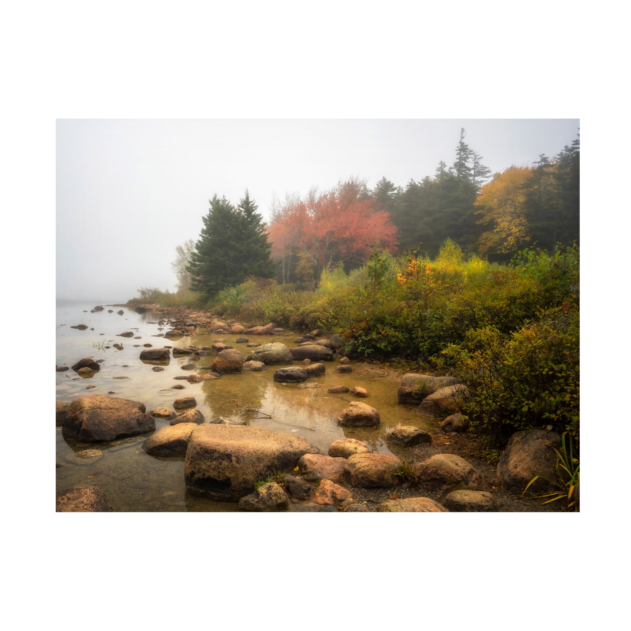 Canvas Wall Art - Danny Head 'Misty Maine' Wall Art for Living Room, Bedroom, or Office Décor by Trademark Fine Art - 24 x 18 Inches
