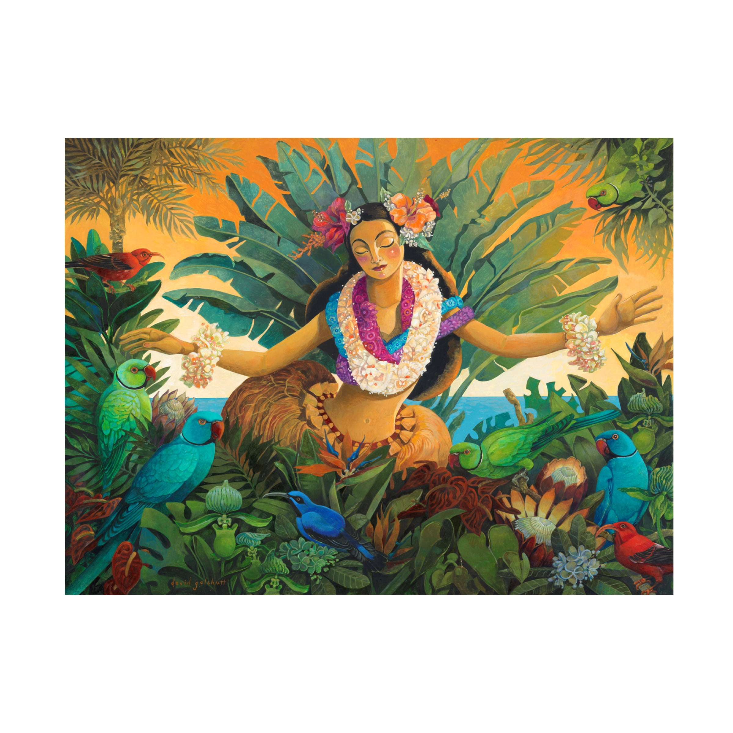 Canvas Wall Art - David Galchutt 'Aloha' Wall Art for Living Room, Bedroom, or Office DÃ©cor by Trademark Fine Art - 24 x 18 Inches