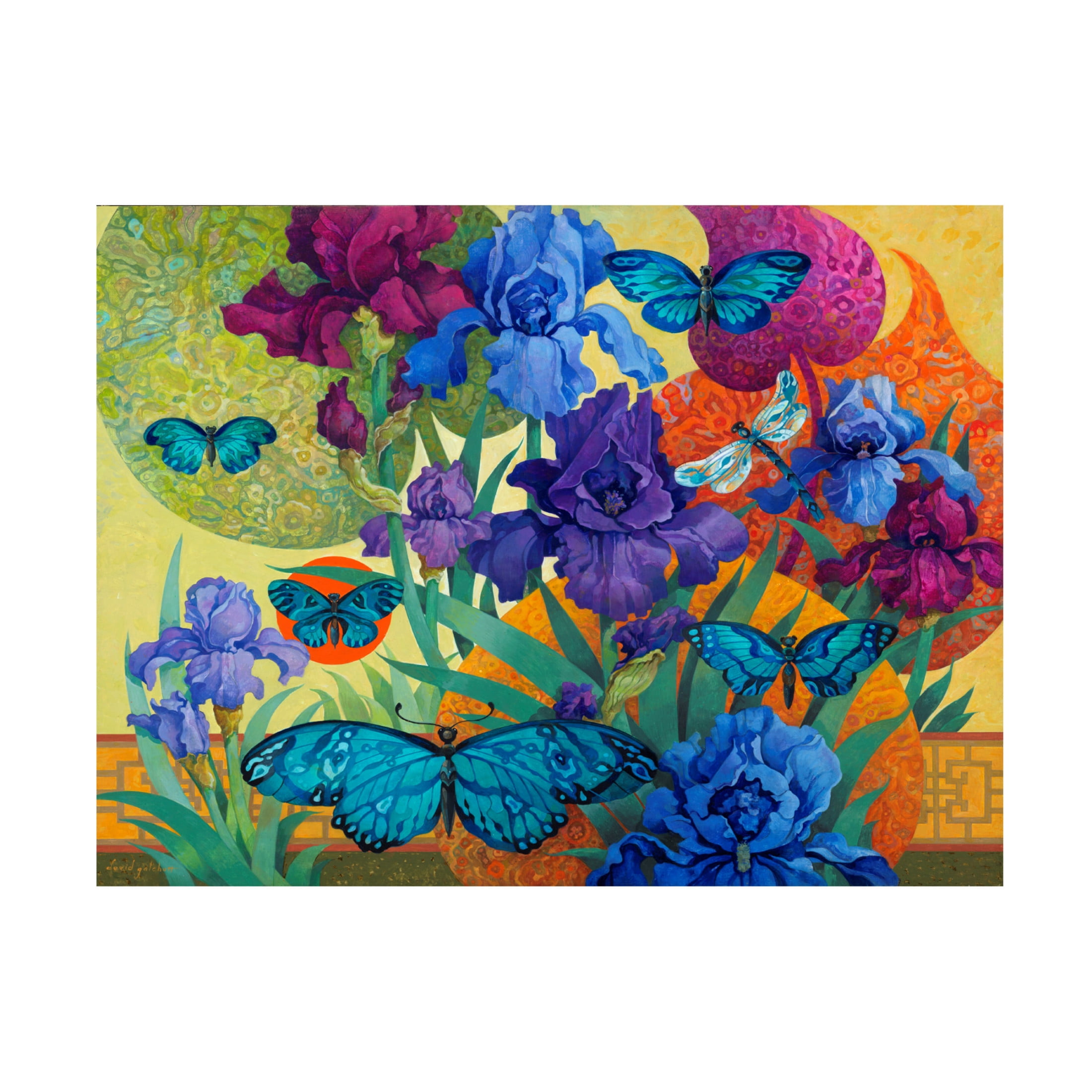 Canvas Wall Art - David Galchutt 'Iris Garden' Wall Art for Living Room, Bedroom, or Office Décor by Trademark Fine Art - 47 x 35 Inches