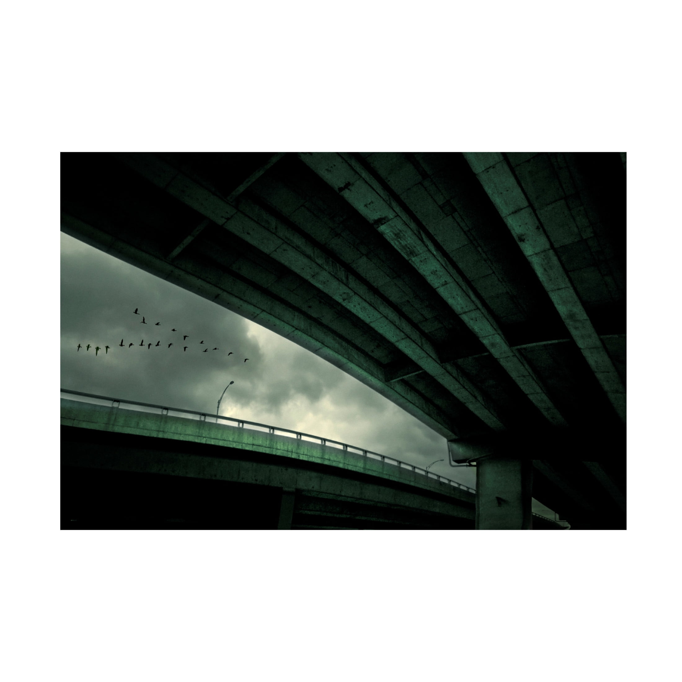 Canvas Wall Art - David Senechal Photographie 'Last Flight' Wall Art for Living Room, Bedroom, or Office D?cor by Trademark Fine Art - 24 x 16 Inches