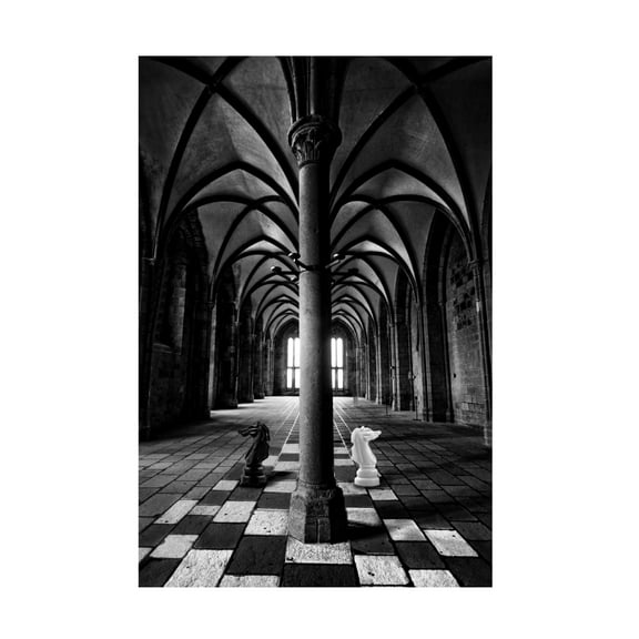 Canvas Wall Art - David Senechal Photographie 'Querelle' Wall Art for Living Room, Bedroom, or Office D?cor by Trademark Fine Art - 12 x 19 Inches