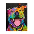 thumbnail image 1 of Canvas Wall Art - Dean Russo 'Add A Little Sunshine' Wall Art for Living Room, Bedroom, or Office Décor by Trademark Fine Art - 35 x 47 Inches, 1 of 4