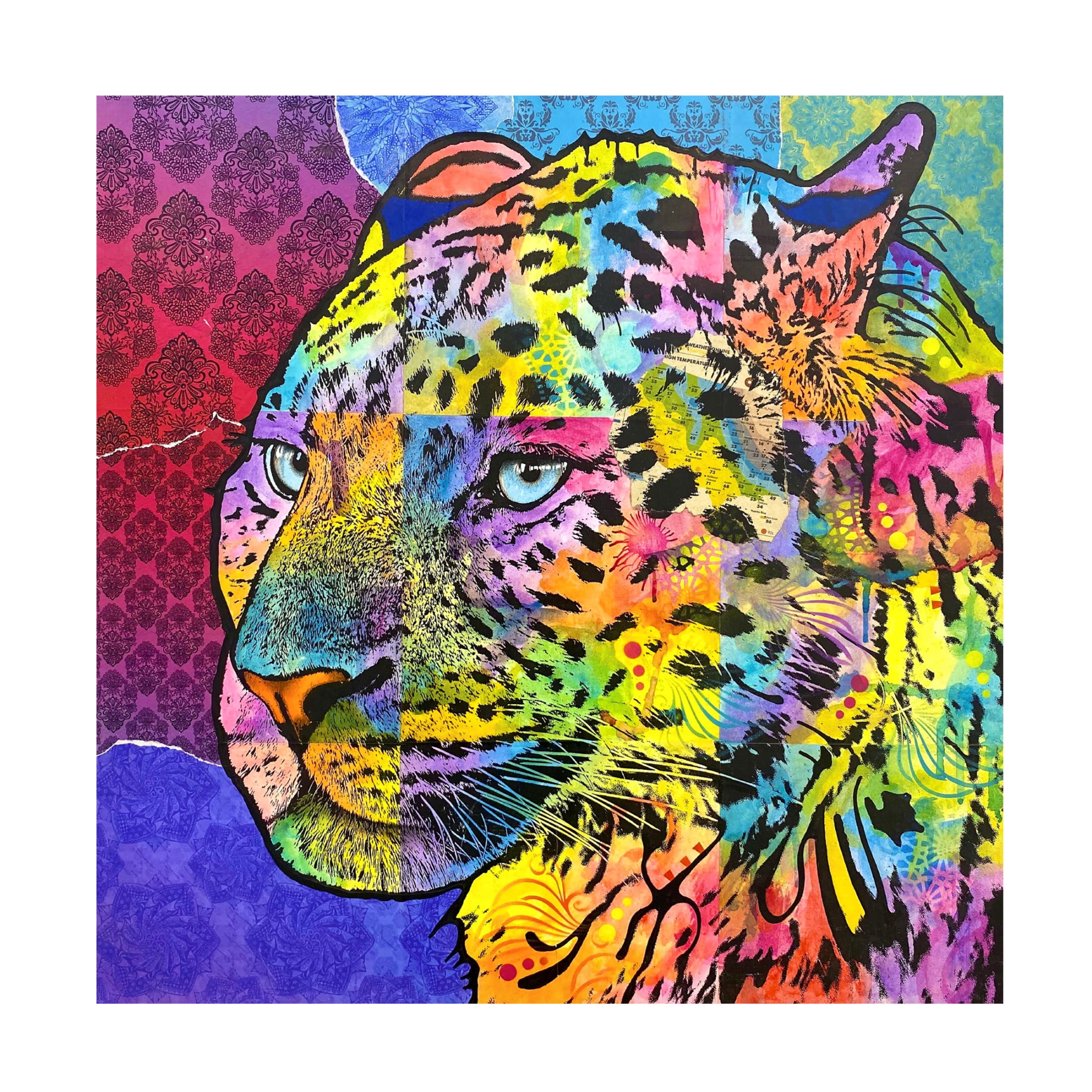 Canvas Wall Art - Dean Russo 'Chobe' Wall Art for Living Room, Bedroom, or Office Décor by Trademark Fine Art - 24 x 24 Inches