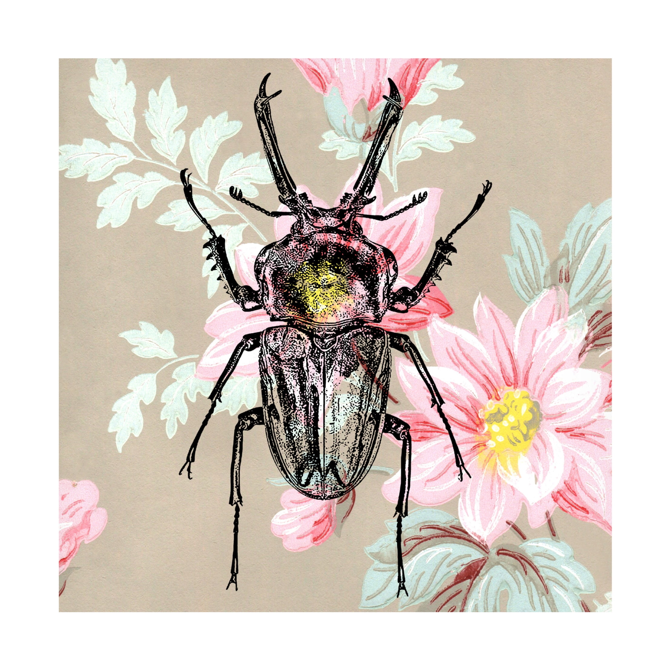 Canvas Wall Art - Dean Russo- Exclusive 'Beetle Wallpaper Square' Wall Art for Living Room, Bedroom, or Office Décor by Trademark Fine Art - 24 x 24 Inches
