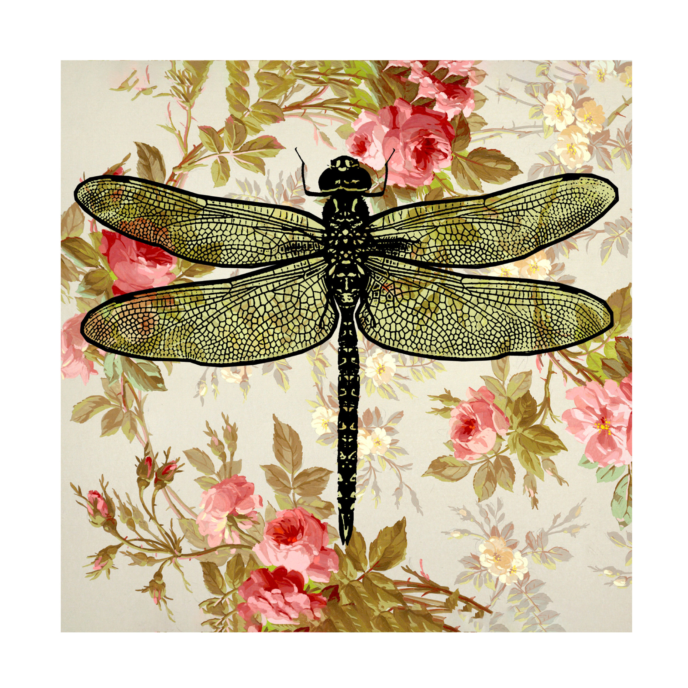 Canvas Wall Art - Dean Russo- Exclusive 'dragonfly Wallpaper Square 