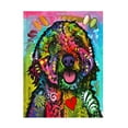 thumbnail image 1 of Canvas Wall Art - Dean Russo 'Golden Doodle' Wall Art for Living Room, Bedroom, or Office Décor by Trademark Fine Art - 18 x 24 Inches - 18x24, 1 of 4