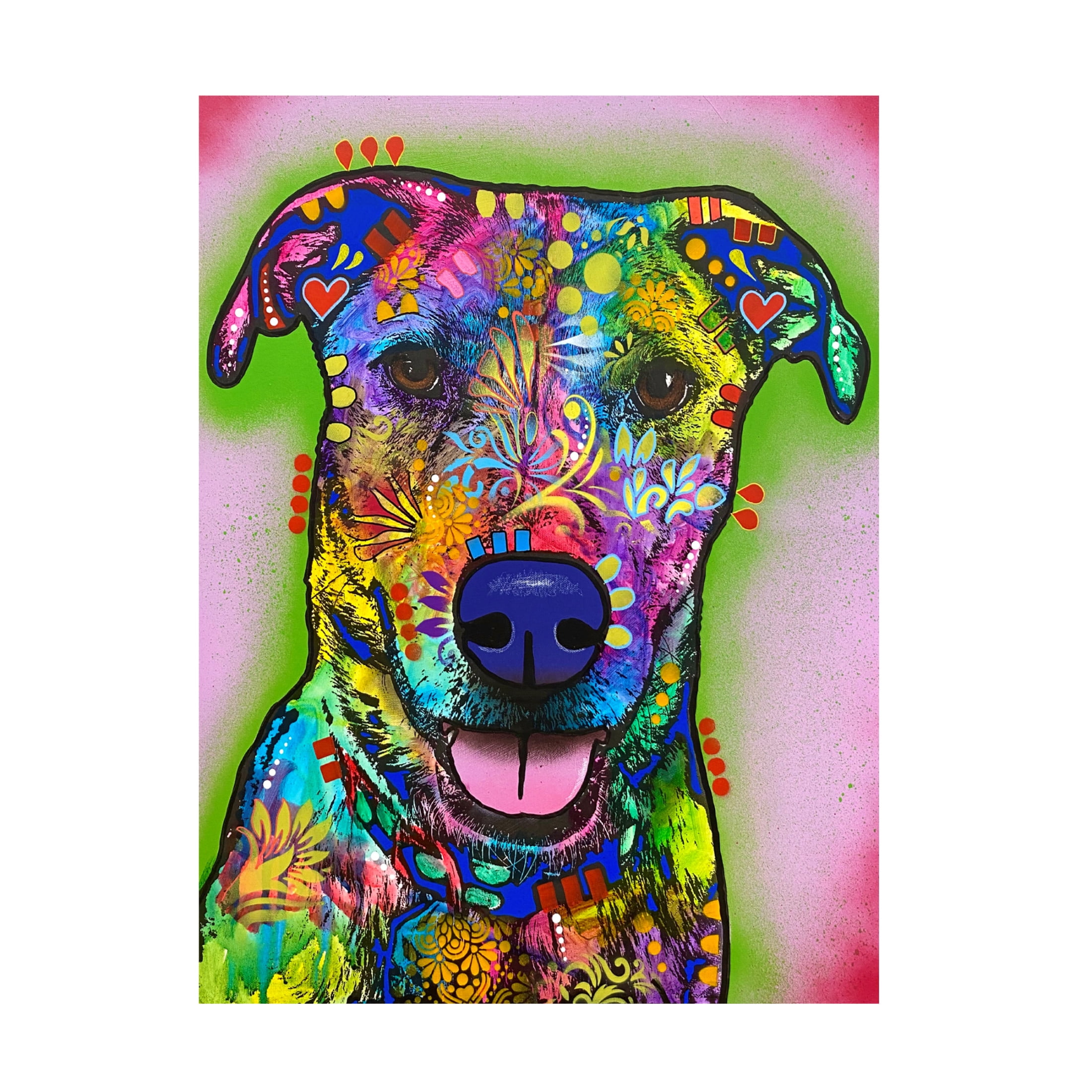 Canvas Wall Art - Dean Russo 'I Like You A Lot' Wall Art for Living Room, Bedroom, or Office Décor by Trademark Fine Art - 35 x 47 Inches