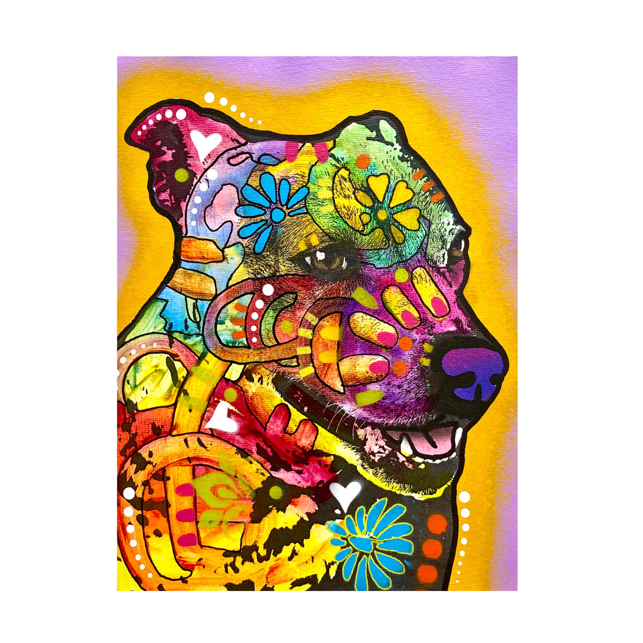 Canvas Wall Art - Dean Russo 'Ready For Zoomies' Wall Art for Living Room, Bedroom, or Office Décor by Trademark Fine Art - 35 x 47 Inches