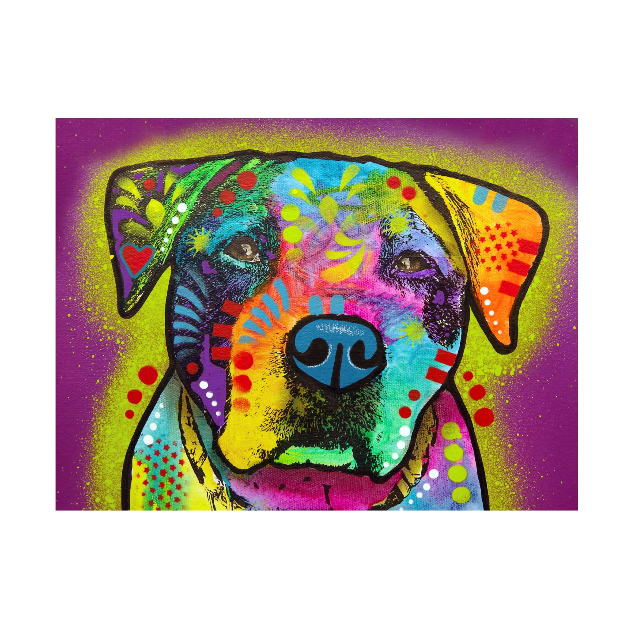 Canvas Wall Art - Dean Russo 'Tatter' Wall Art for Living Room, Bedroom, or Office Décor by Trademark Fine Art - 47 x 35 Inches