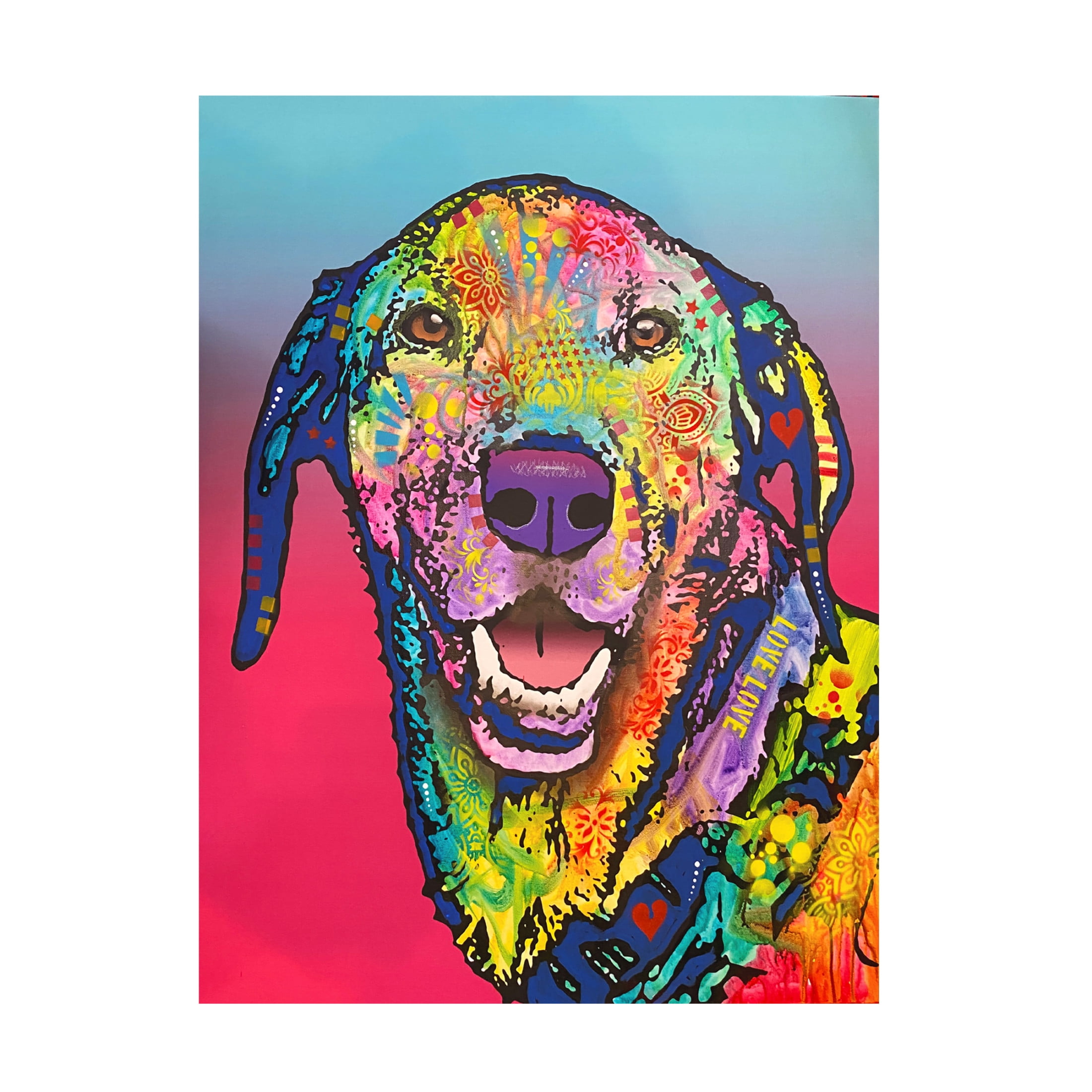 Canvas Wall Art - Dean Russo 'Zoomies Expert' Wall Art for Living Room, Bedroom, or Office Décor by Trademark Fine Art - 24 x 32 Inches