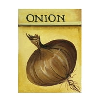 Canvas Wall Art - Debbi Wetzel 'Seed Packets 01 - Onion' Wall Art for Living Room, Bedroom, or Office Décor by Trademark Fine Art - 14 x 19 Inches
