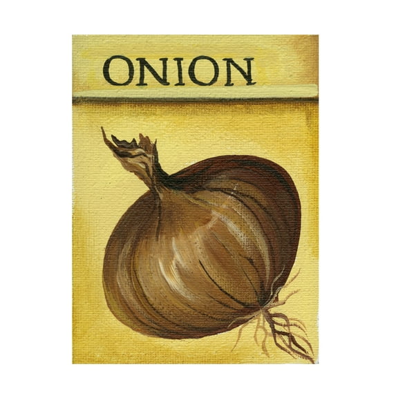 Canvas Wall Art - Debbi Wetzel 'Seed Packets 01 - Onion' Wall Art for Living Room, Bedroom, or Office Décor by Trademark Fine Art - 24 x 32 Inches