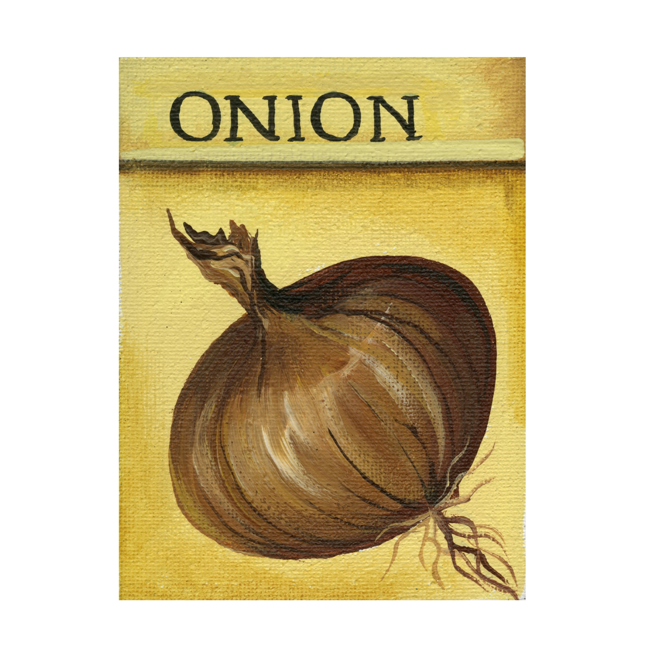 Canvas Wall Art - Debbi Wetzel 'Seed Packets 01 - Onion' Wall Art for Living Room, Bedroom, or Office Décor by Trademark Fine Art - 35 x 47 Inches