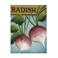 thumbnail image 1 of Canvas Wall Art - Debbi Wetzel 'Seed Packets 02 - Radish' Wall Art for Living Room, Bedroom, or Office Décor by Trademark Fine Art - 14 x 19 Inches, 1 of 4