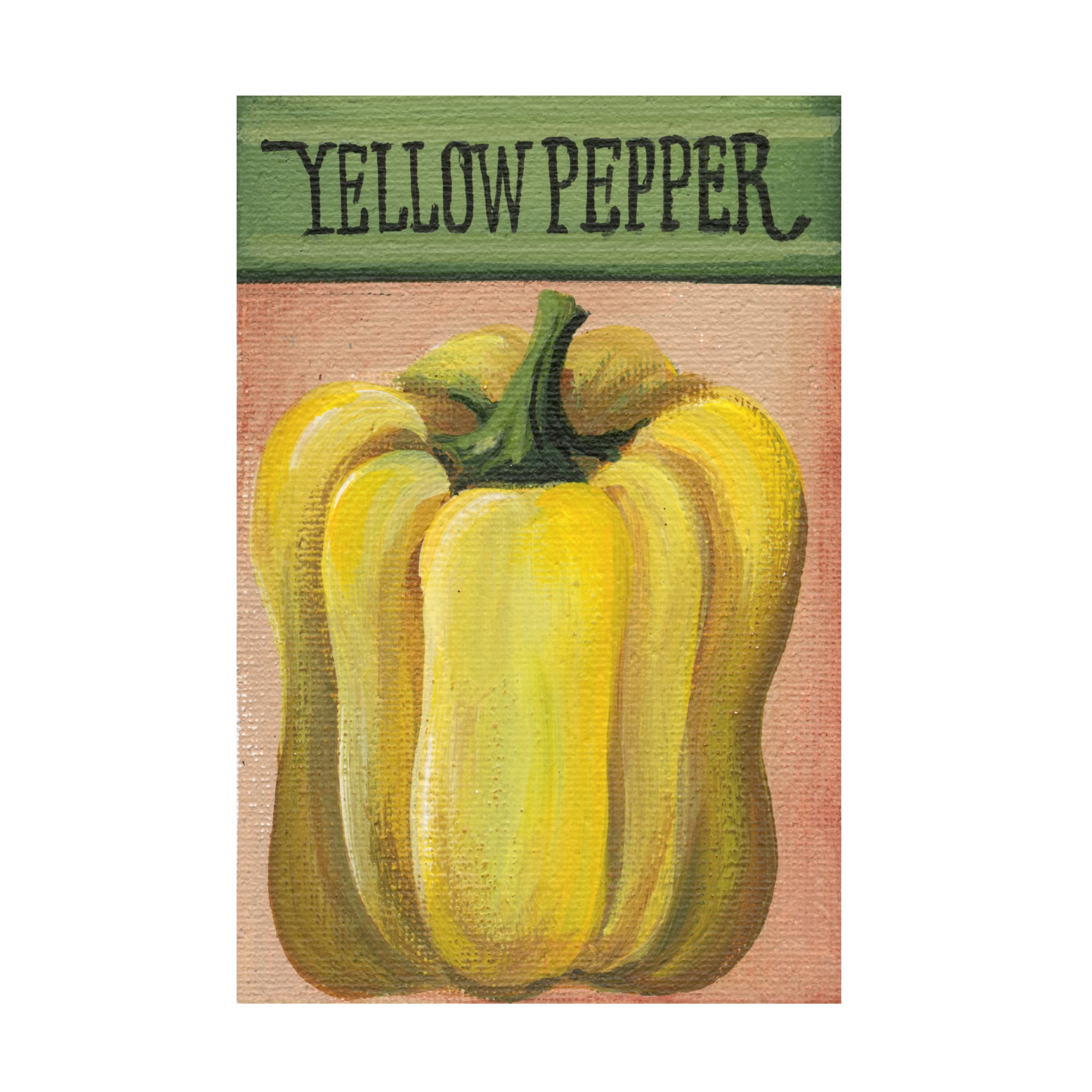 Canvas Wall Art - Debbi Wetzel 'Seed Packets 03 - Yellow Pepper' Wall Art for Living Room, Bedroom, or Office Décor by Trademark Fine Art - 30 x 47 Inches