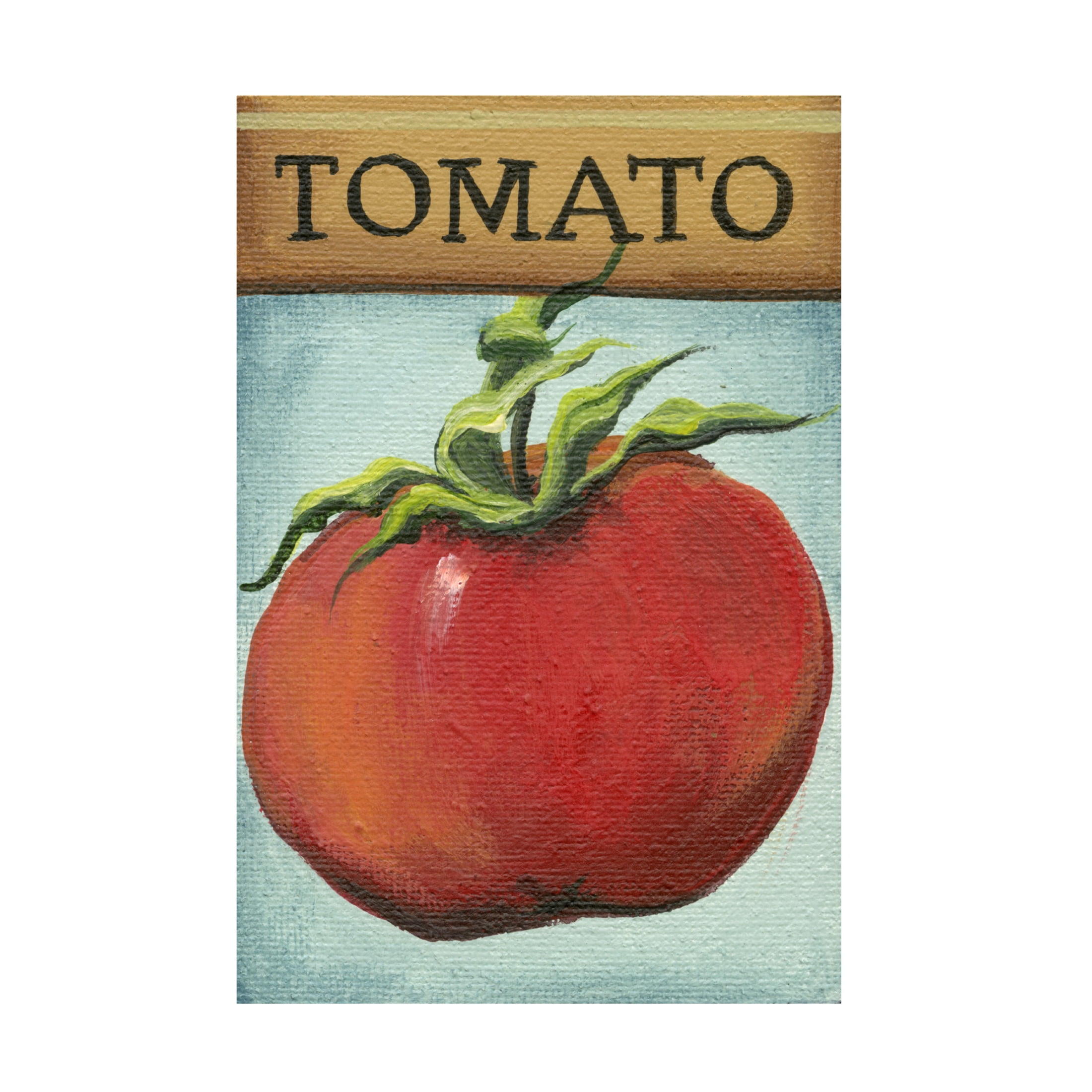 Canvas Wall Art - Debbi Wetzel 'Seed Packets 05 - Tomato' Wall Art for Living Room, Bedroom, or Office Décor by Trademark Fine Art - 22 x 32 Inches