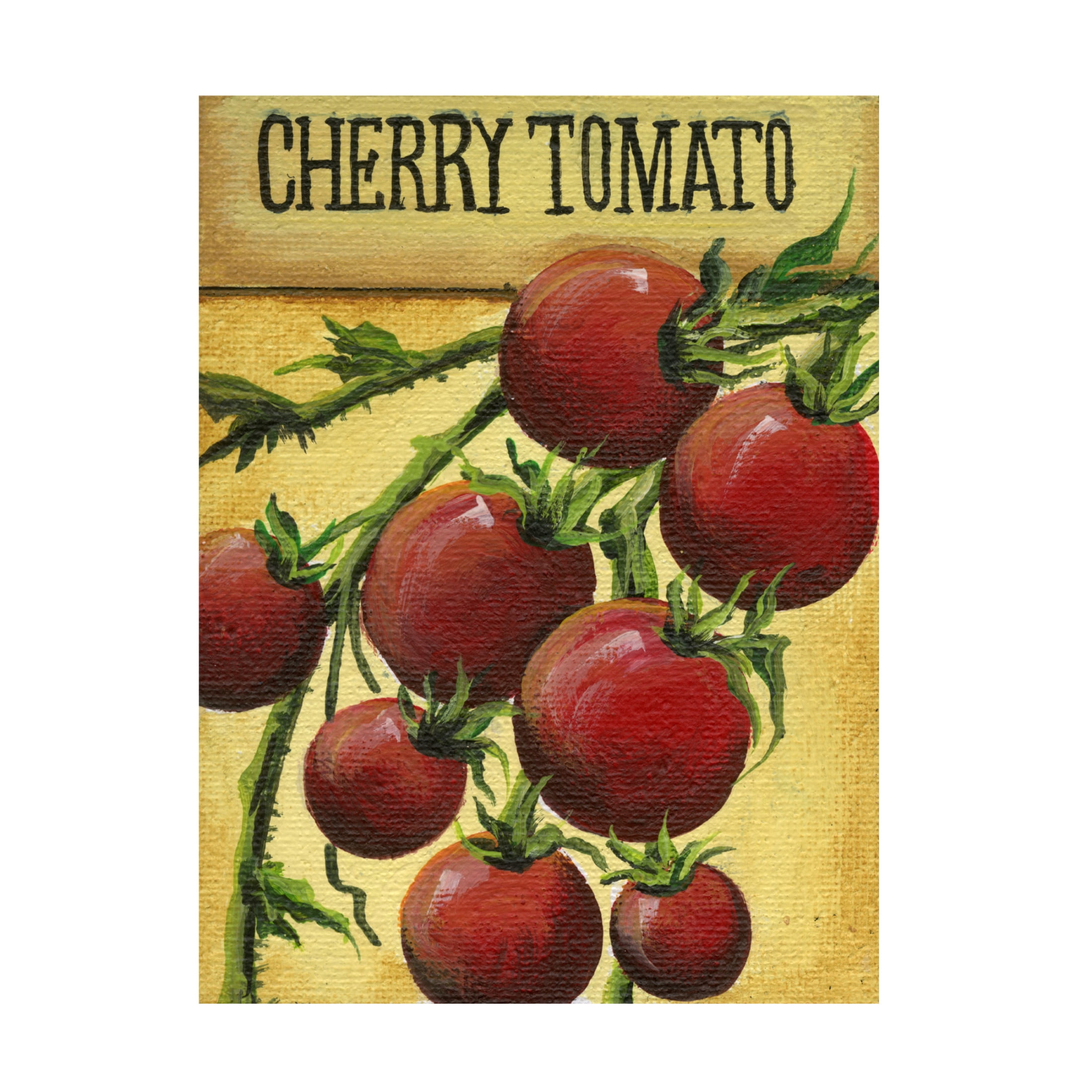 Canvas Wall Art - Debbi Wetzel 'Seed Packets 06 - Cherry Tomato' Wall Art for Living Room, Bedroom, or Office Décor by Trademark Fine Art - 24 x 32 Inches