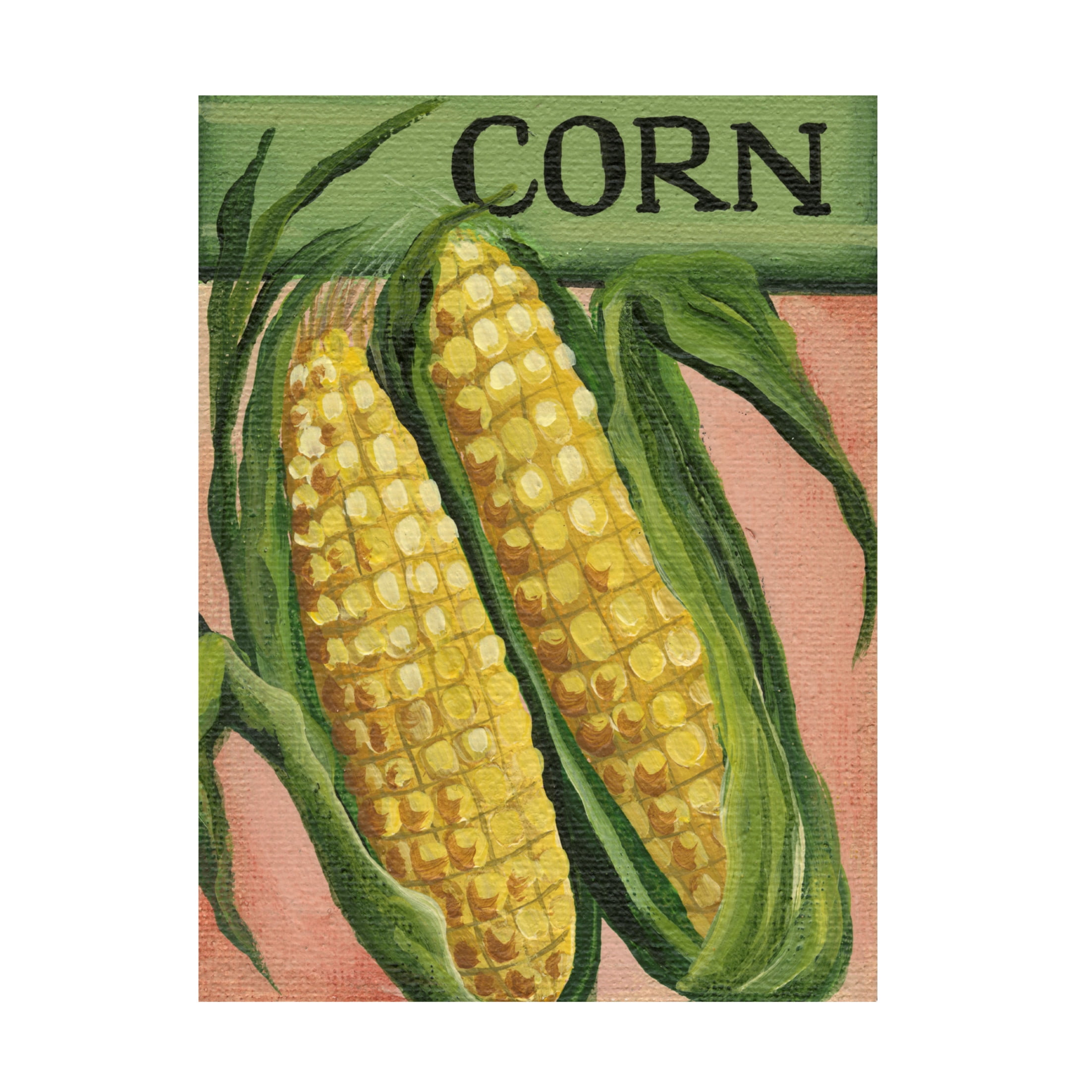Canvas Wall Art - Debbi Wetzel 'Seed Packets 07 - Corn' Wall Art for Living Room, Bedroom, or Office Décor by Trademark Fine Art - 14 x 19 Inches