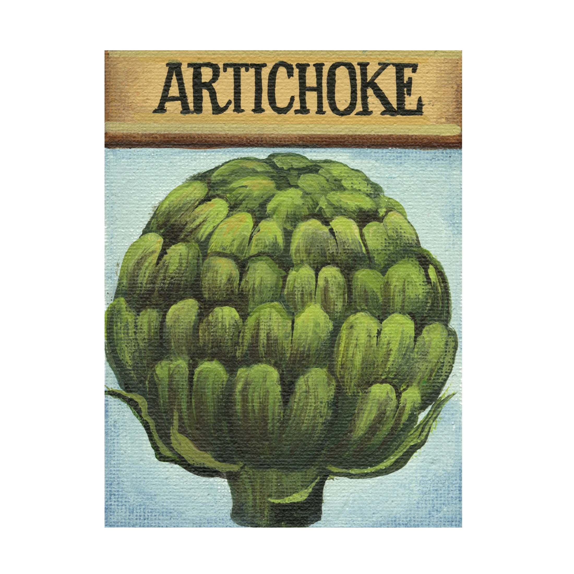 Canvas Wall Art - Debbi Wetzel 'Seed Packets 08 - Artichoke' Wall Art for Living Room, Bedroom, or Office Décor by Trademark Fine Art - 24 x 32 Inches