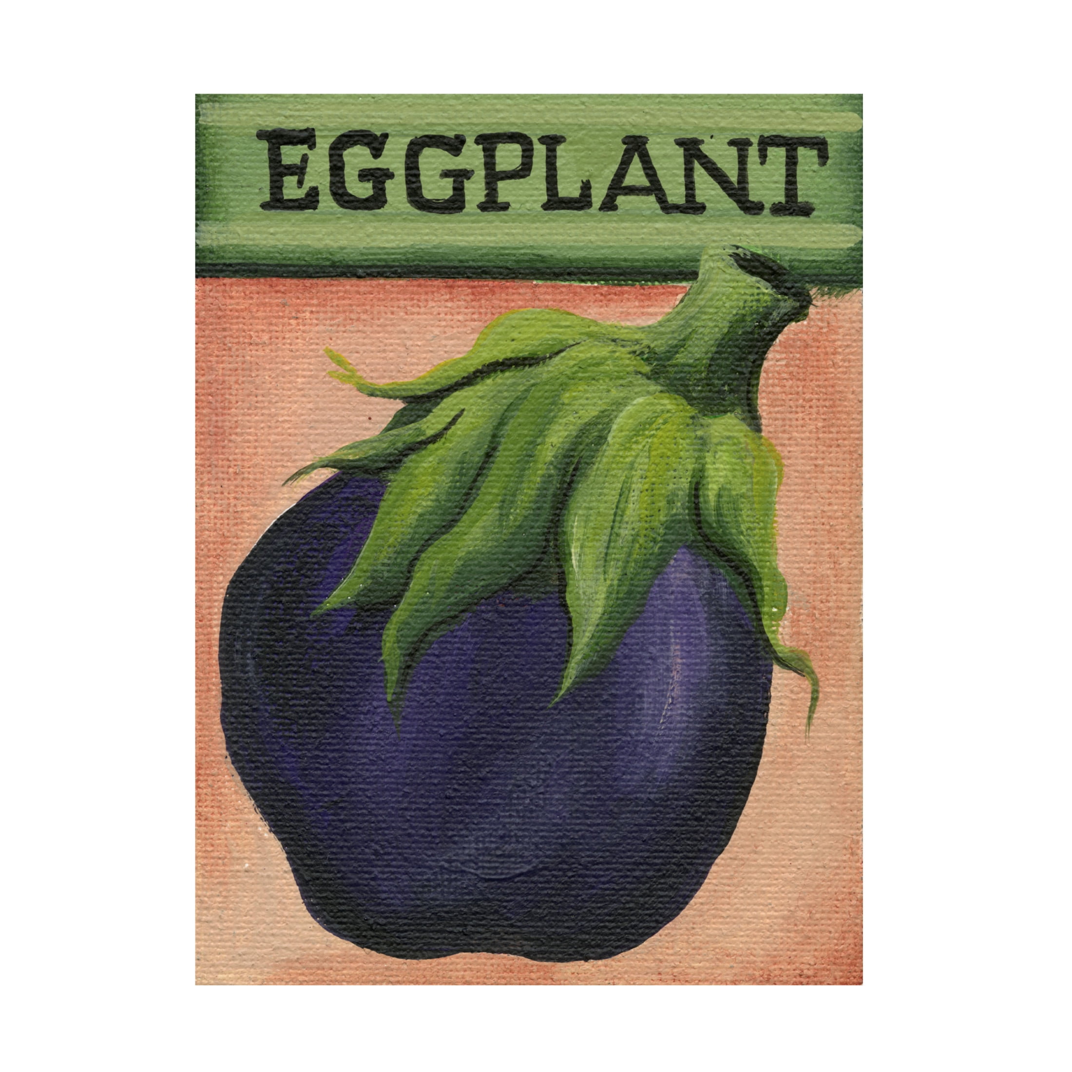 Canvas Wall Art - Debbi Wetzel 'Seed Packets 09 - Eggplant' Wall Art for Living Room, Bedroom, or Office Décor by Trademark Fine Art - 14 x 19 Inches