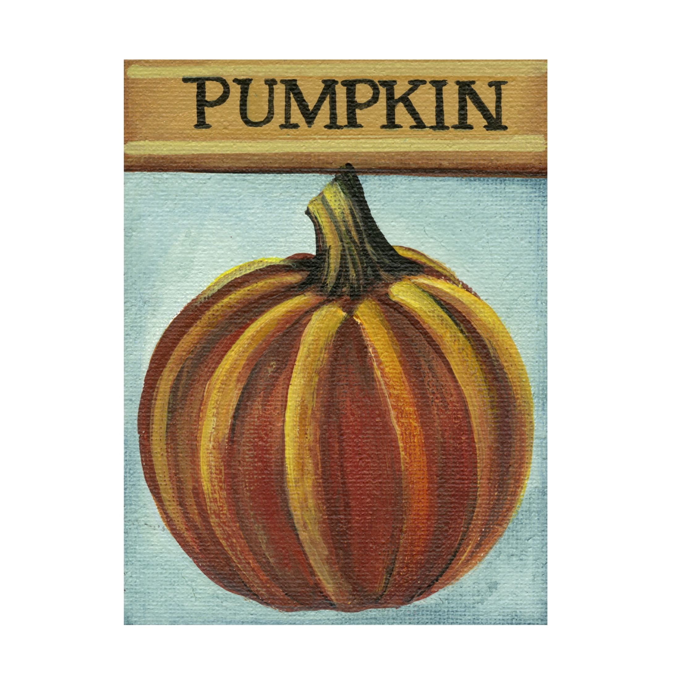 Canvas Wall Art - Debbi Wetzel 'Seed Packets 11 - Pumpkin' Wall Art for Living Room, Bedroom, or Office Décor by Trademark Fine Art - 35 x 47 Inches