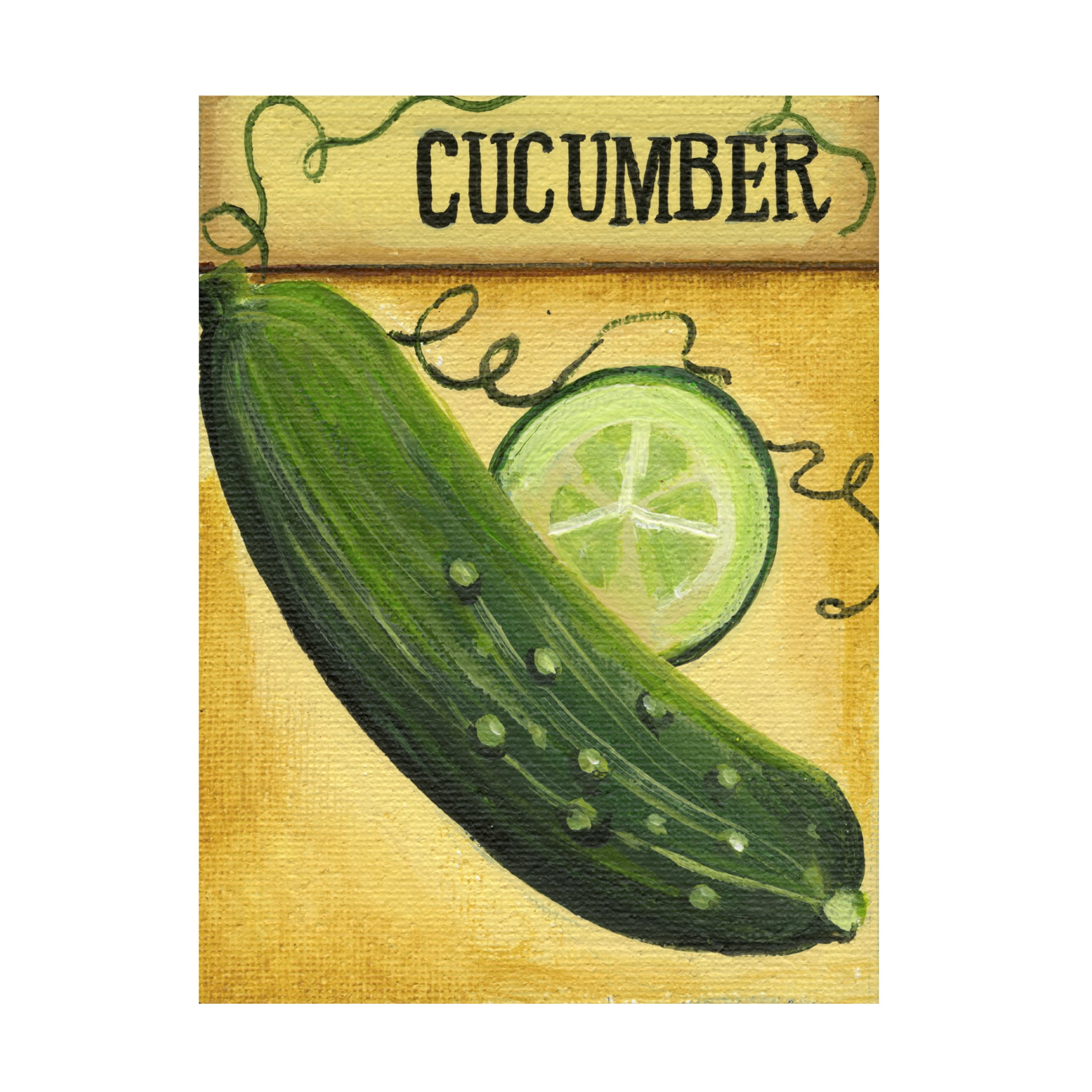 Canvas Wall Art - Debbi Wetzel 'Seed Packets 12 - Cucumber' Wall Art for Living Room, Bedroom, or Office Décor by Trademark Fine Art - 35 x 47 Inches
