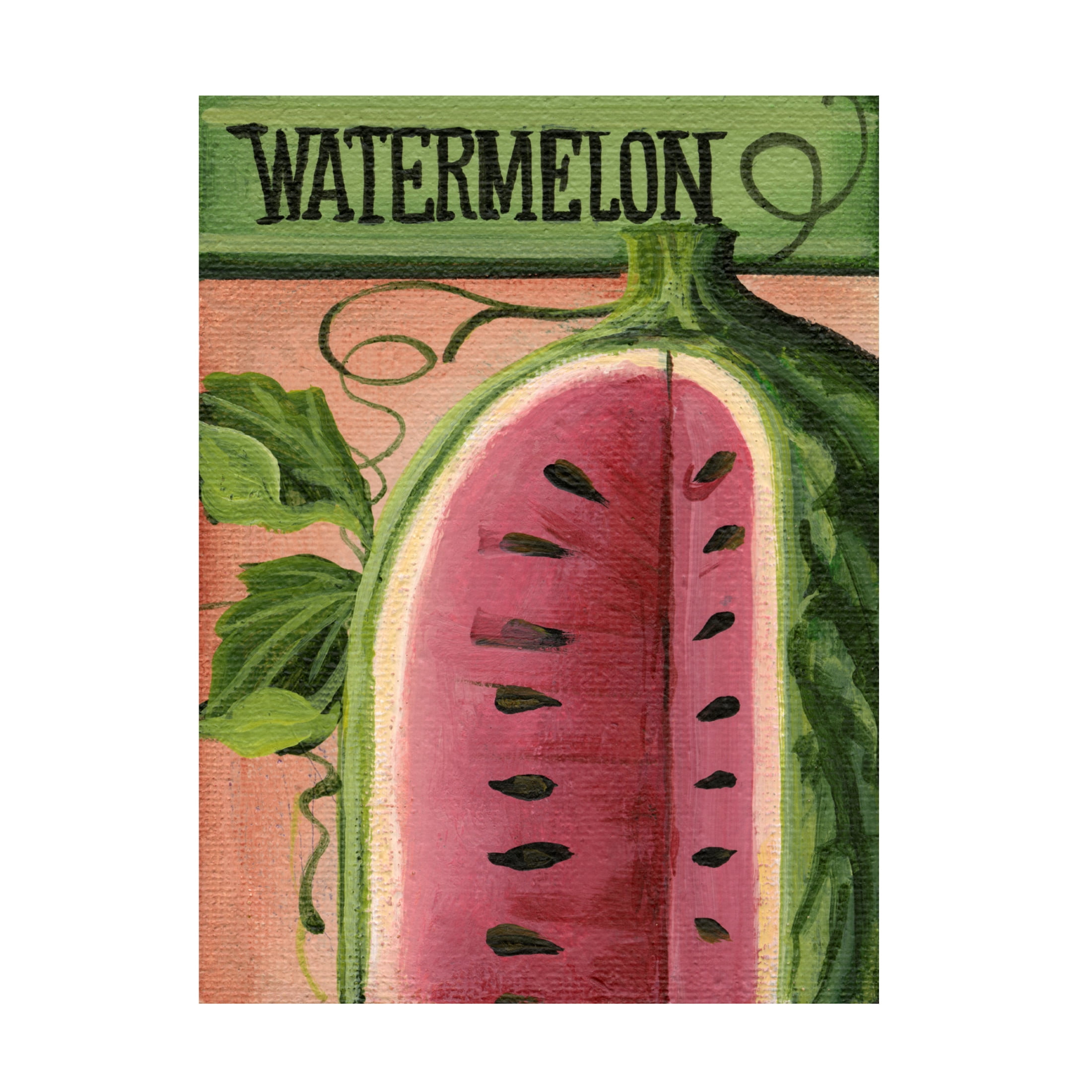Canvas Wall Art - Debbi Wetzel 'Seed Packets 13 - Watermelon' Wall Art for Living Room, Bedroom, or Office Décor by Trademark Fine Art - 18 x 24 Inches