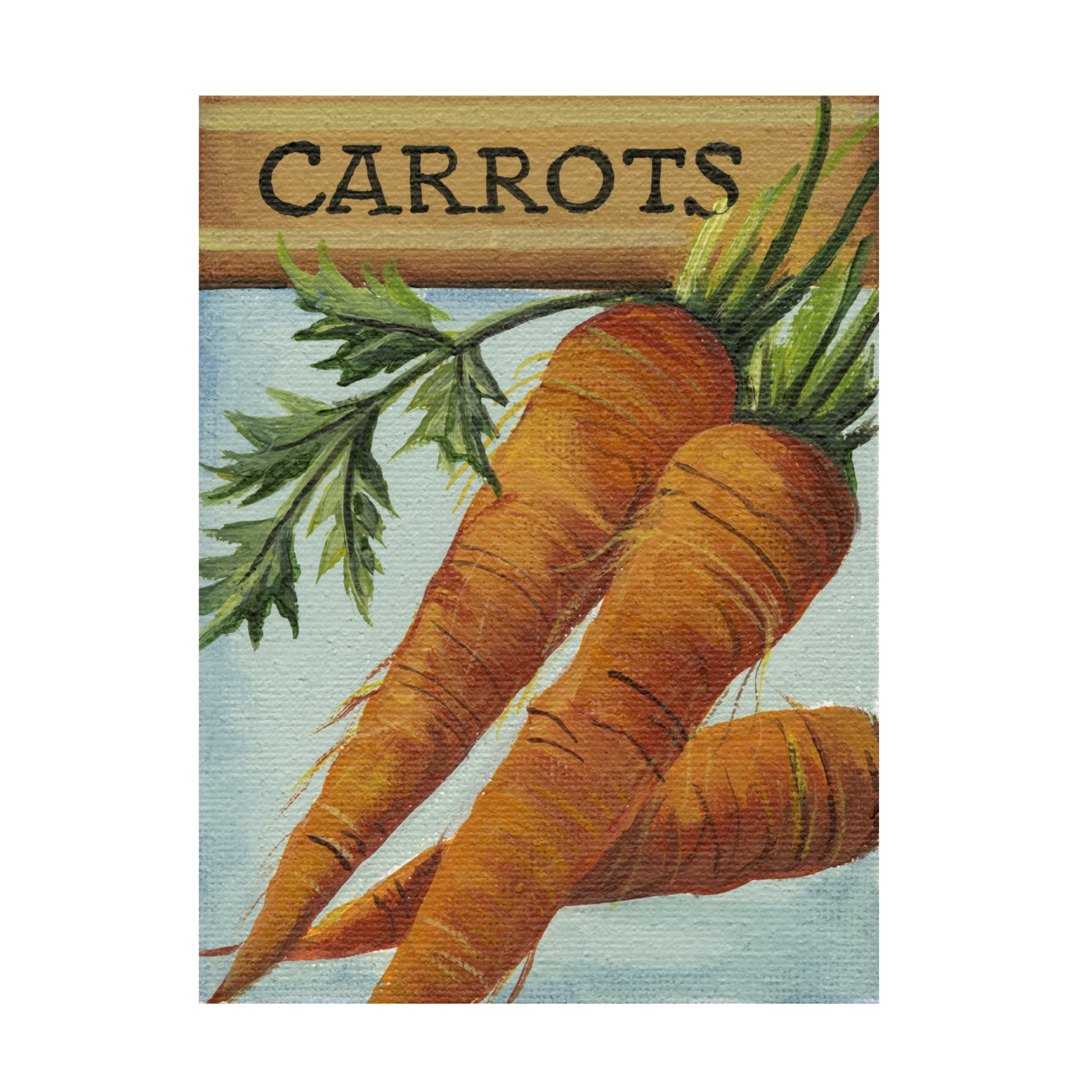 Canvas Wall Art - Debbi Wetzel 'Seed Packets 14 - Carrots' Wall Art for Living Room, Bedroom, or Office Décor by Trademark Fine Art - 35 x 47 Inches