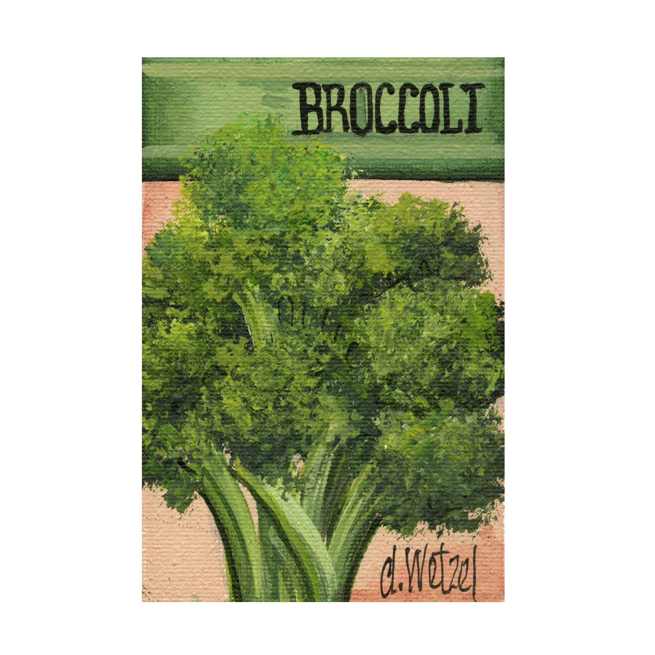 Canvas Wall Art - Debbi Wetzel 'Seed Packets 15 - Broccoli' Wall Art for Living Room, Bedroom, or Office Décor by Trademark Fine Art - 22 x 32 Inches